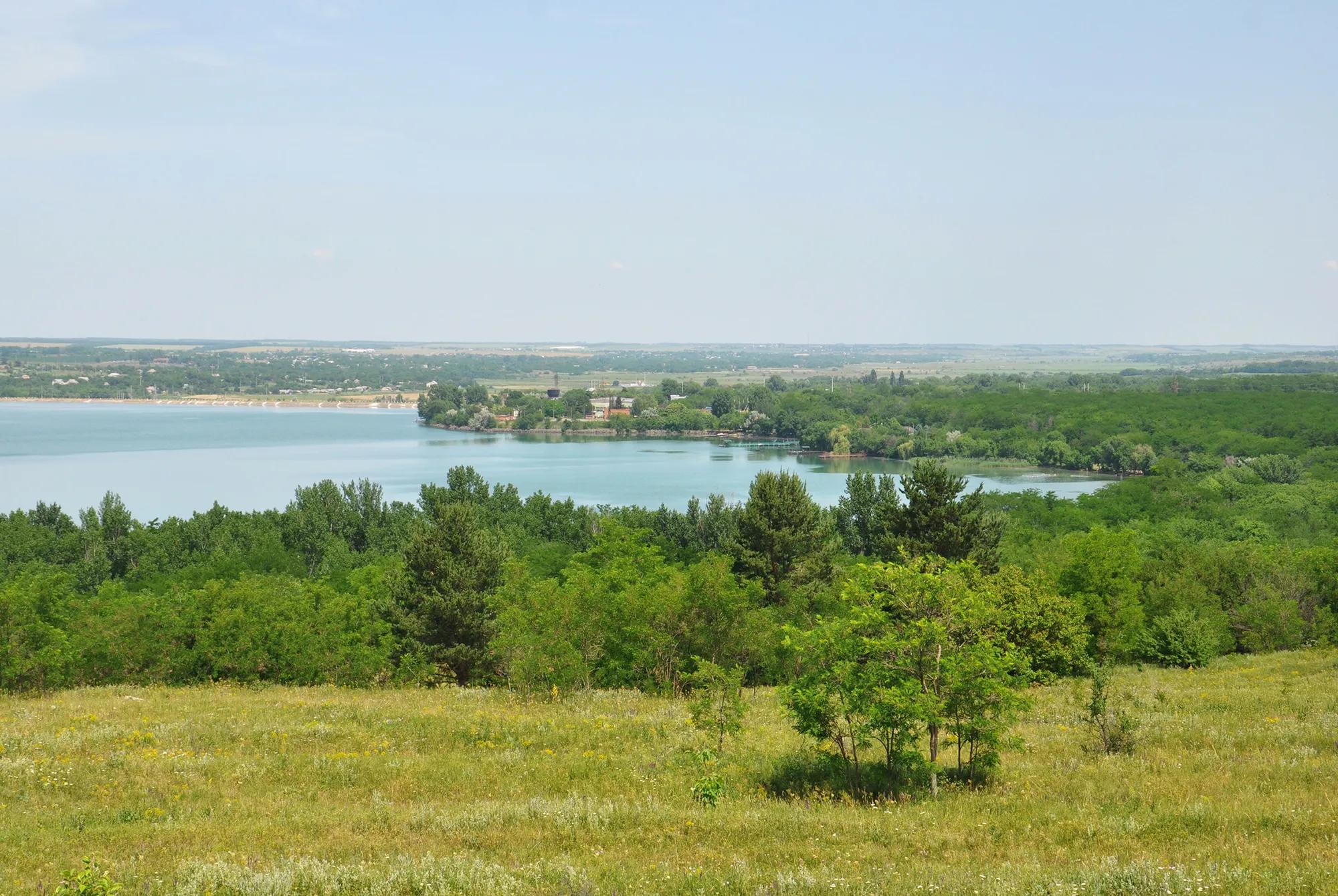 Zhanetta Bagadzhiyan shutterstock_1462606868