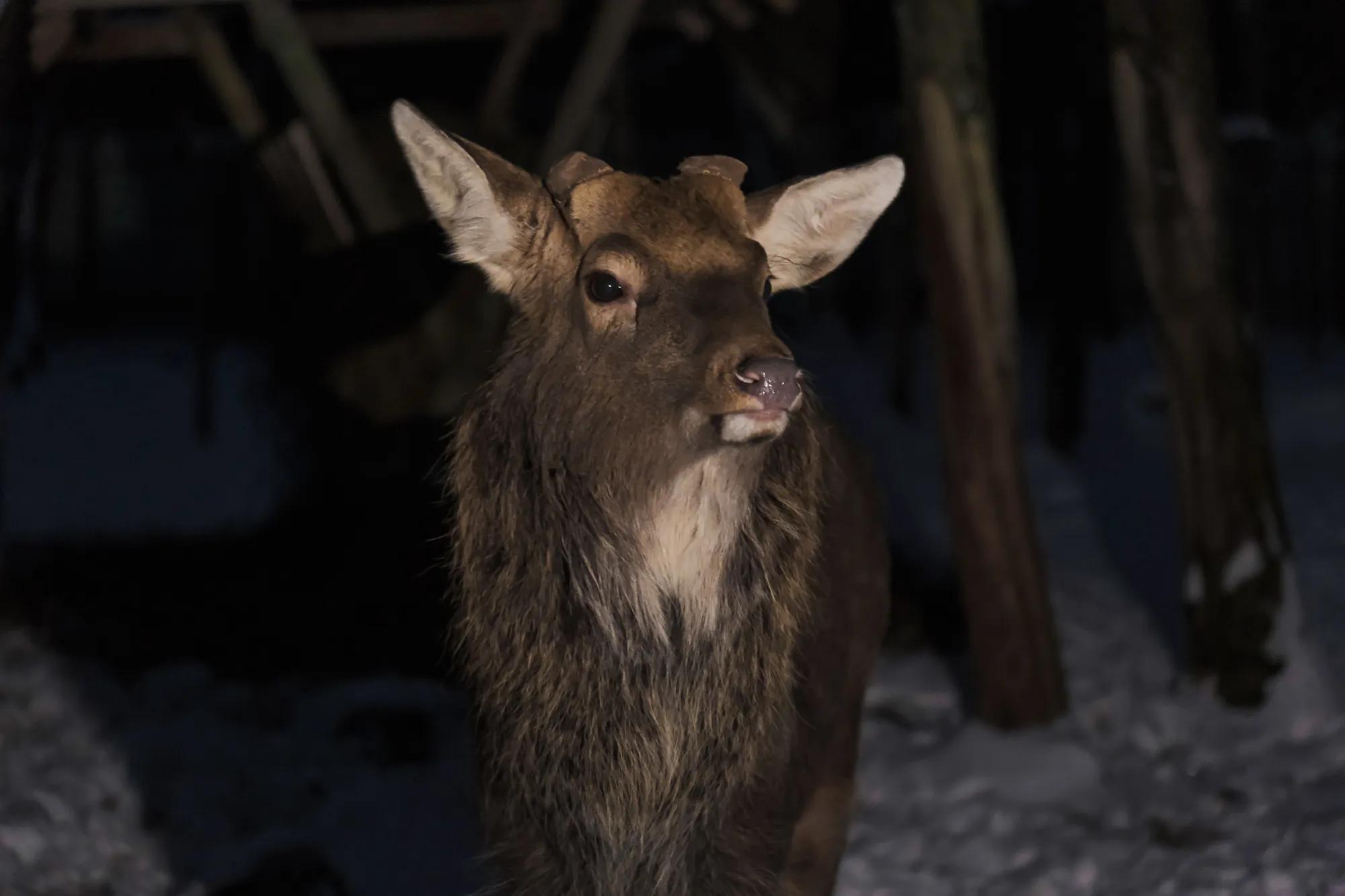 Фото: Сергей Скоробогатов