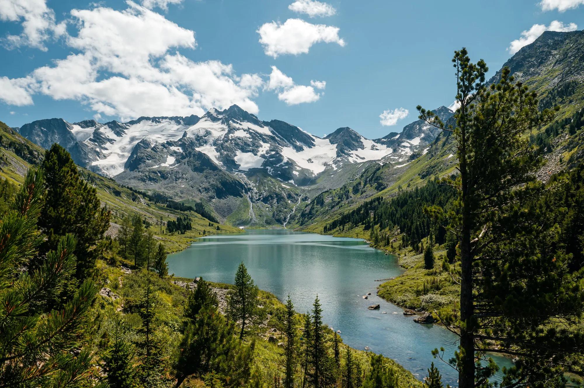 алтай_shutterstock_2565445073
