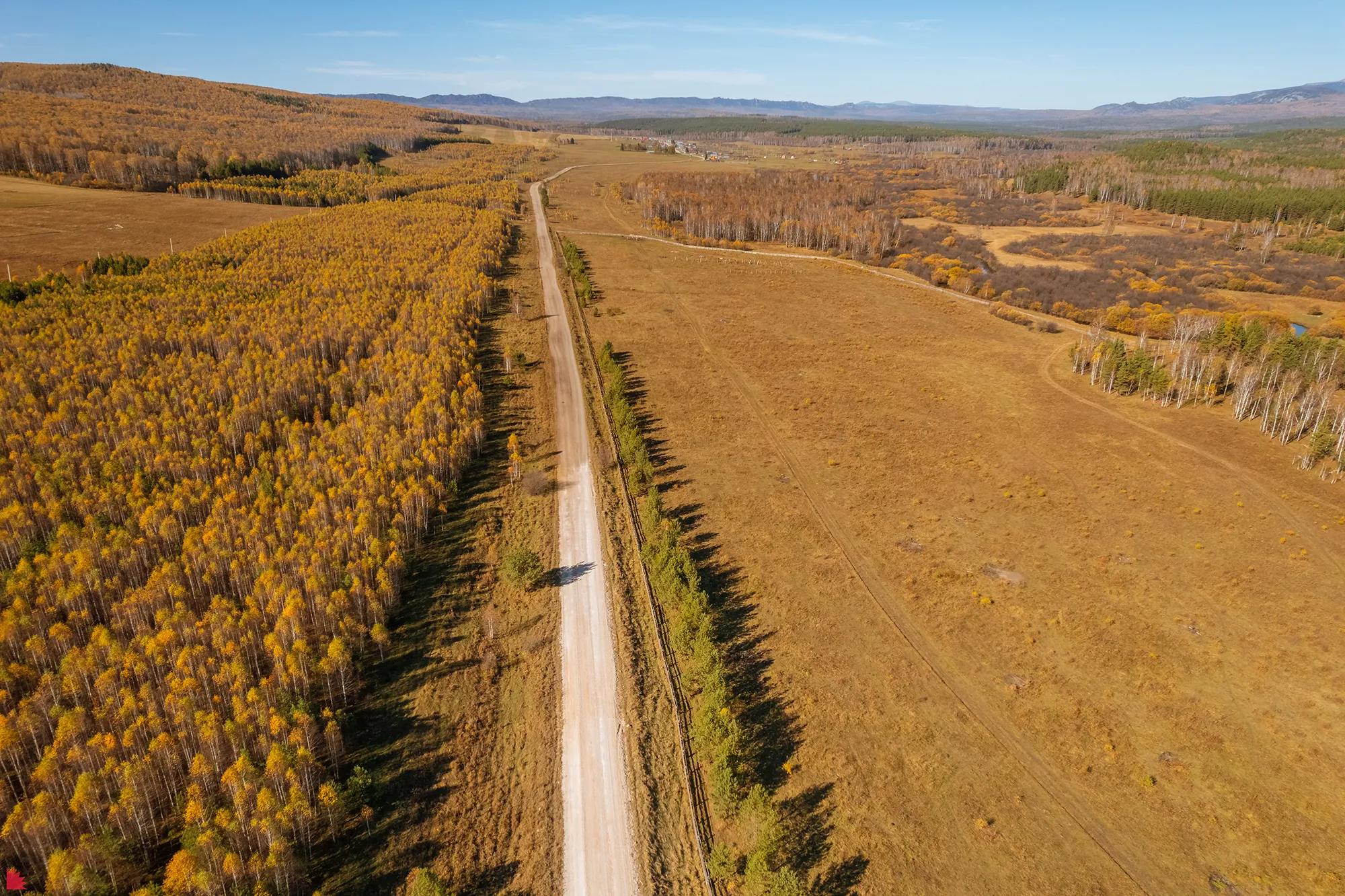 Фото: Александр Осипов