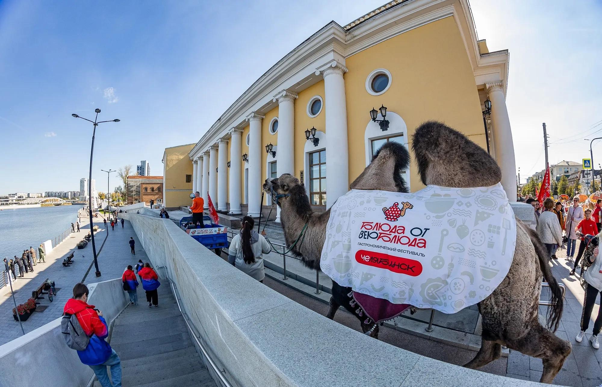 Гастрофестиваль "Блюдо от верблюда"