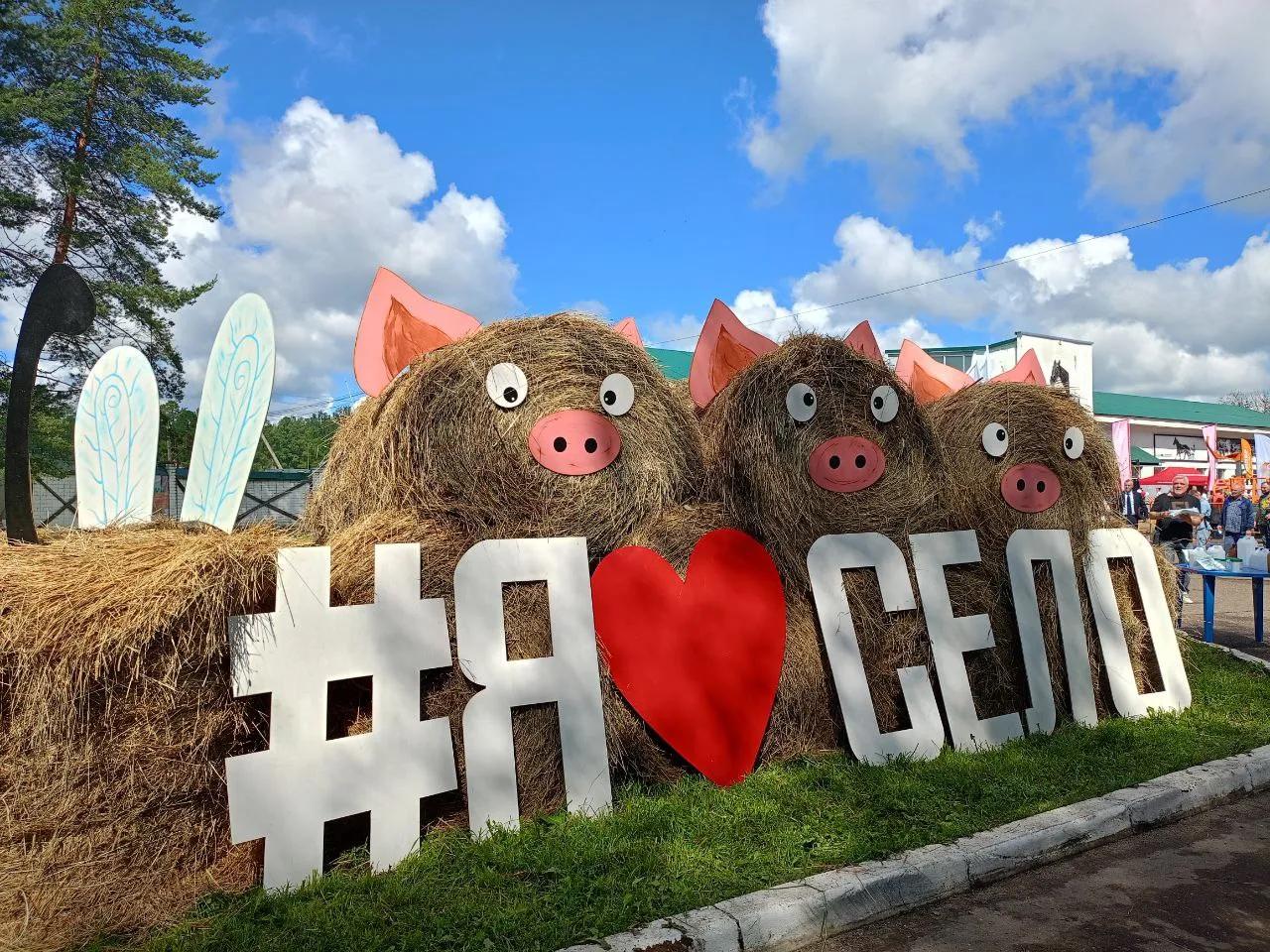 День Костромского села 01