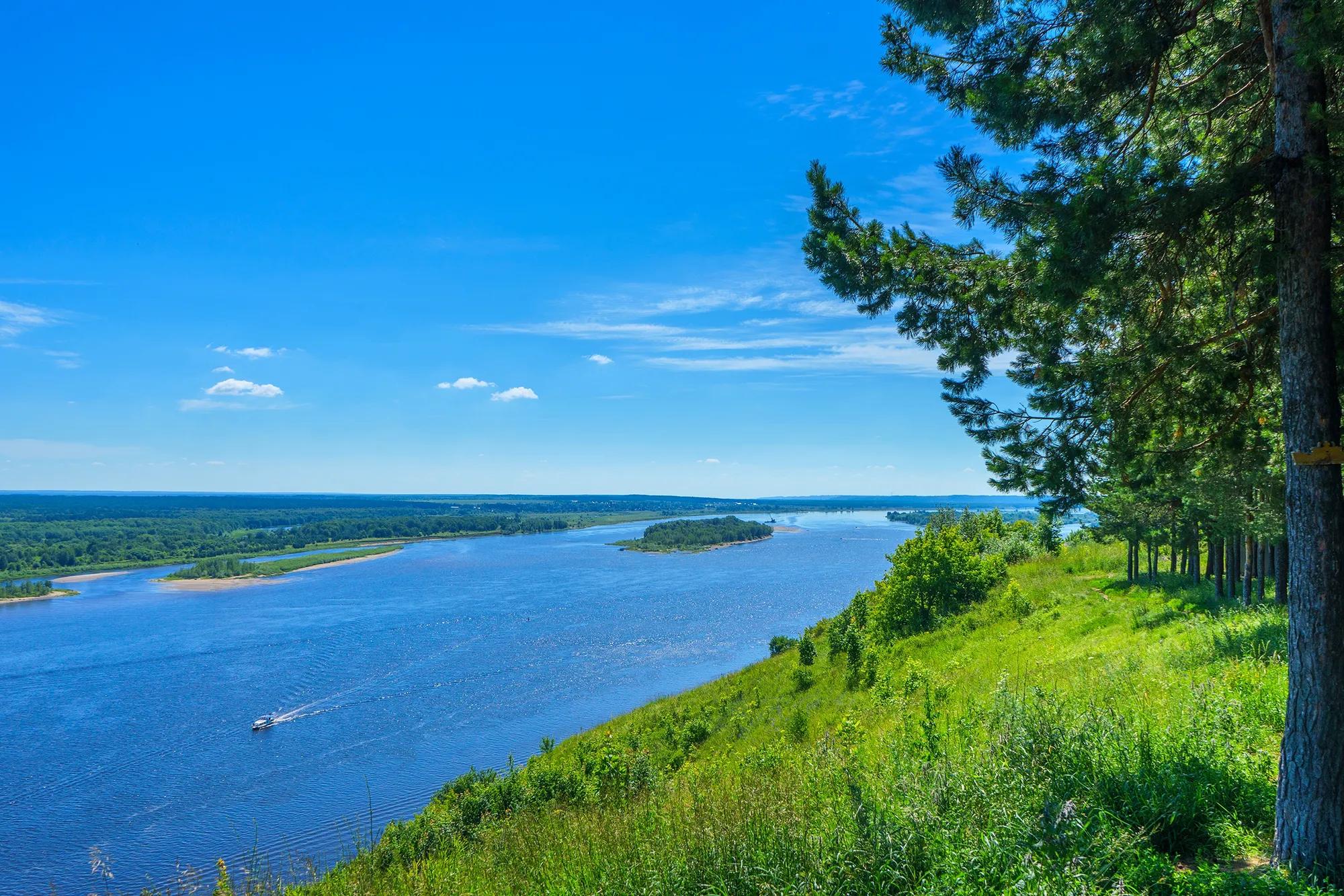 Фото: Shutterstock / den781