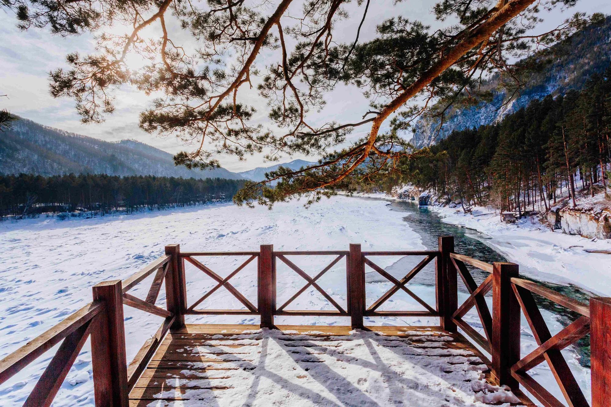 Фото: Валерий Степанюк