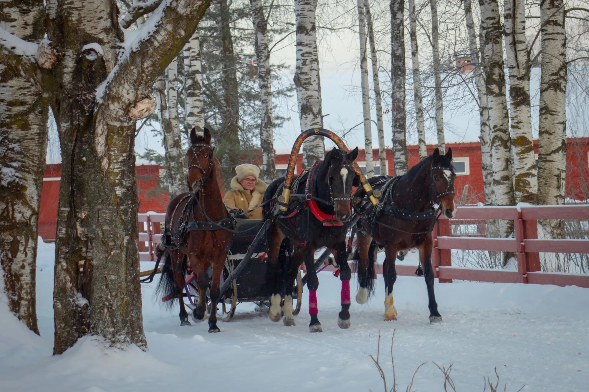 Фото: Дьякова Ольга
