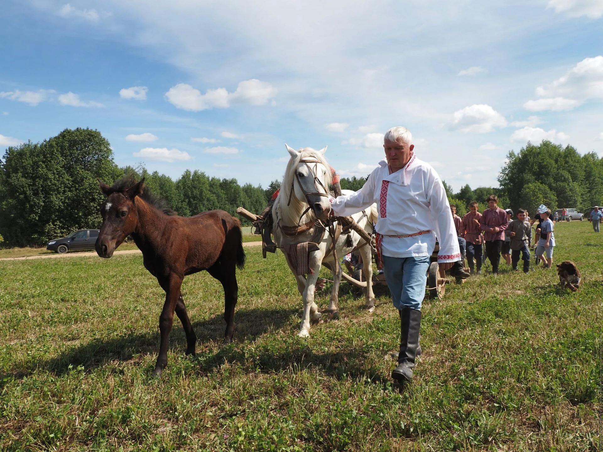 Фото: Алексей Гречищев