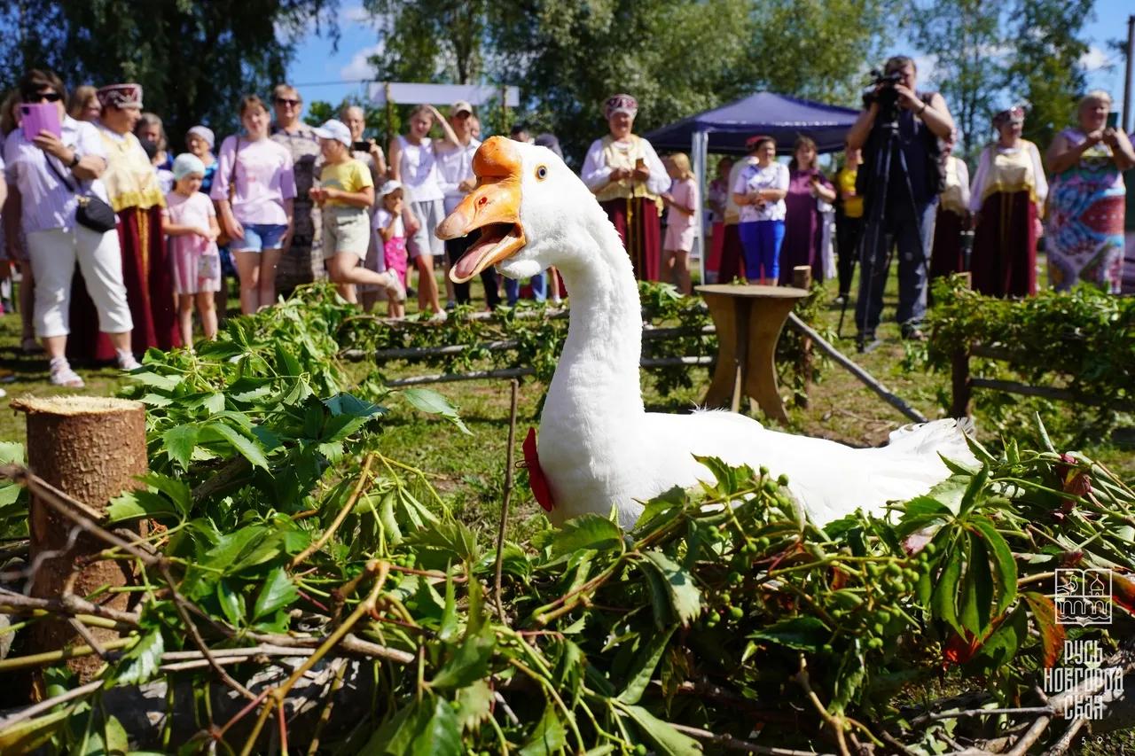 Фото: АНО "Русь Новгородская"