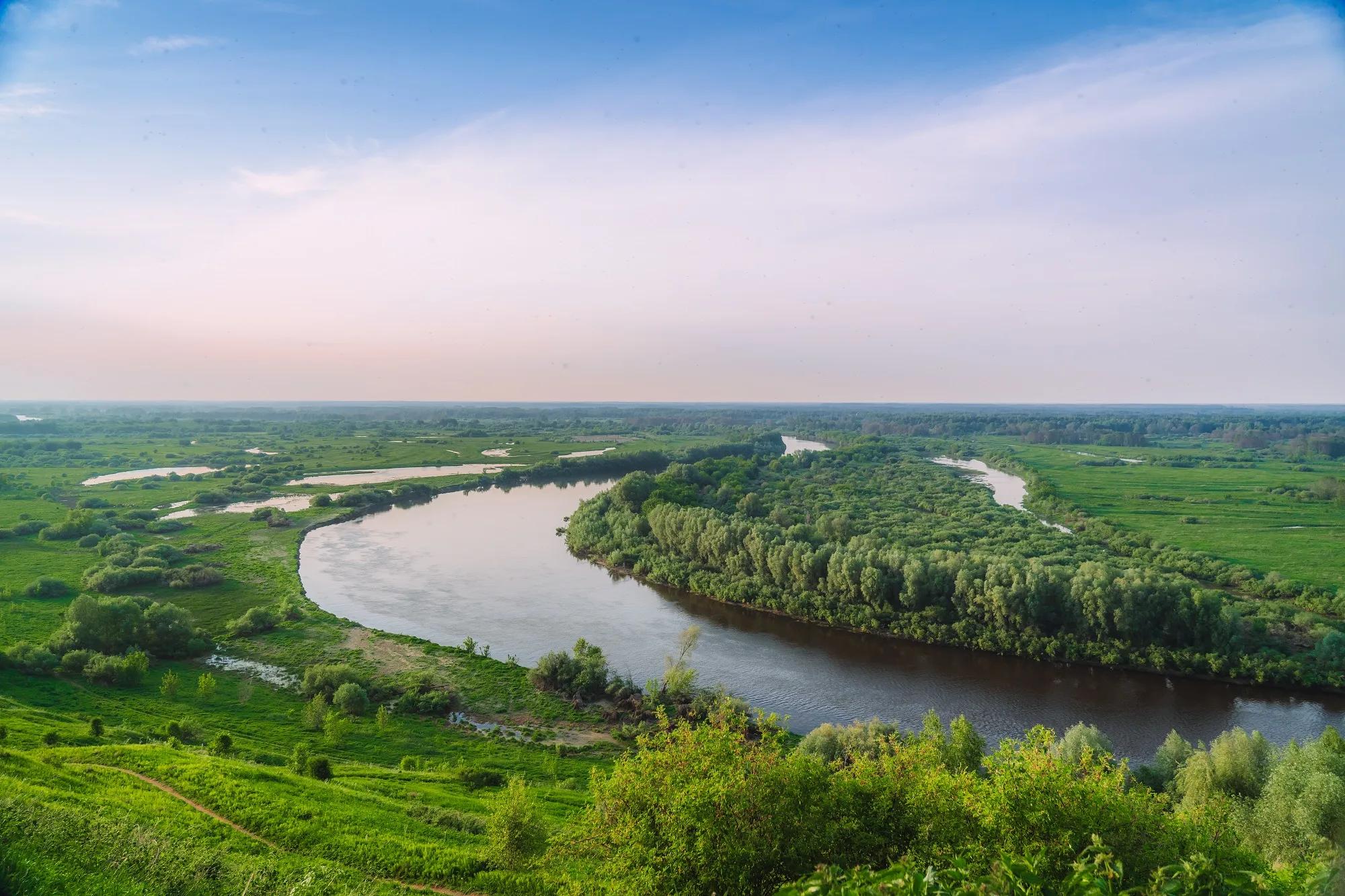 Фото: АНО ТИЦ ВО