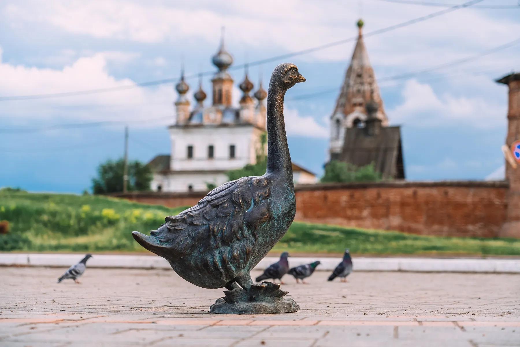 Фото: АНО ТИЦ ВО