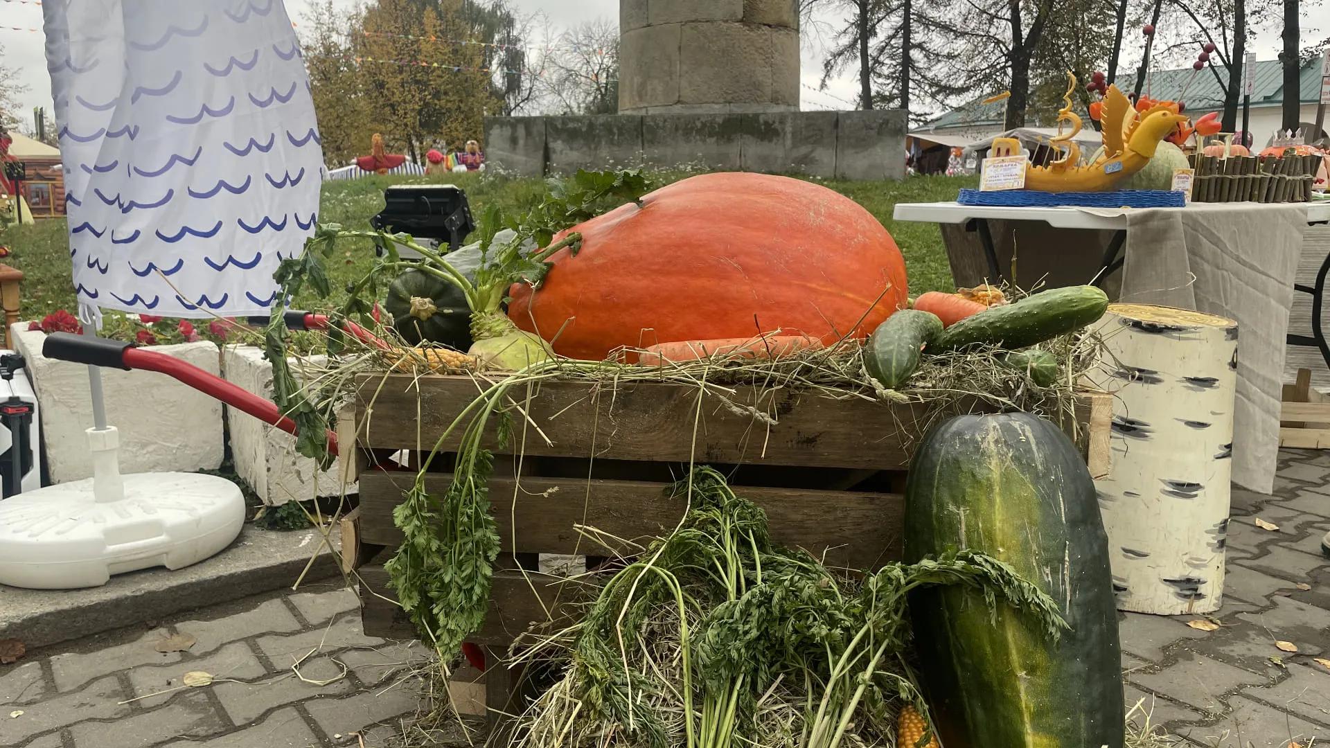 Фото: Департамент культуры Костромской области