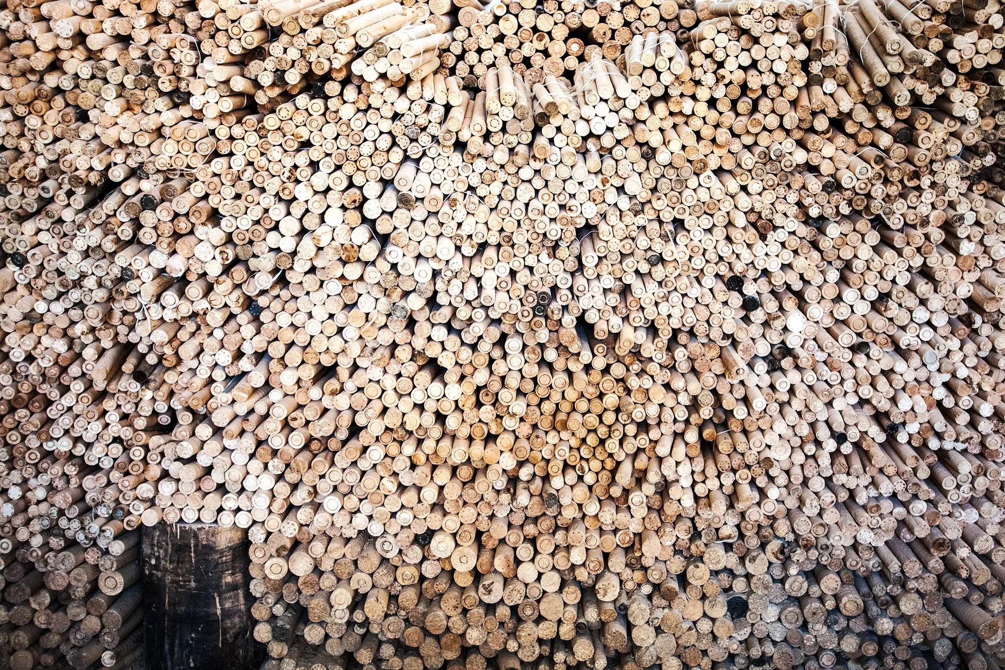 Фото: Shutterstock / karovka