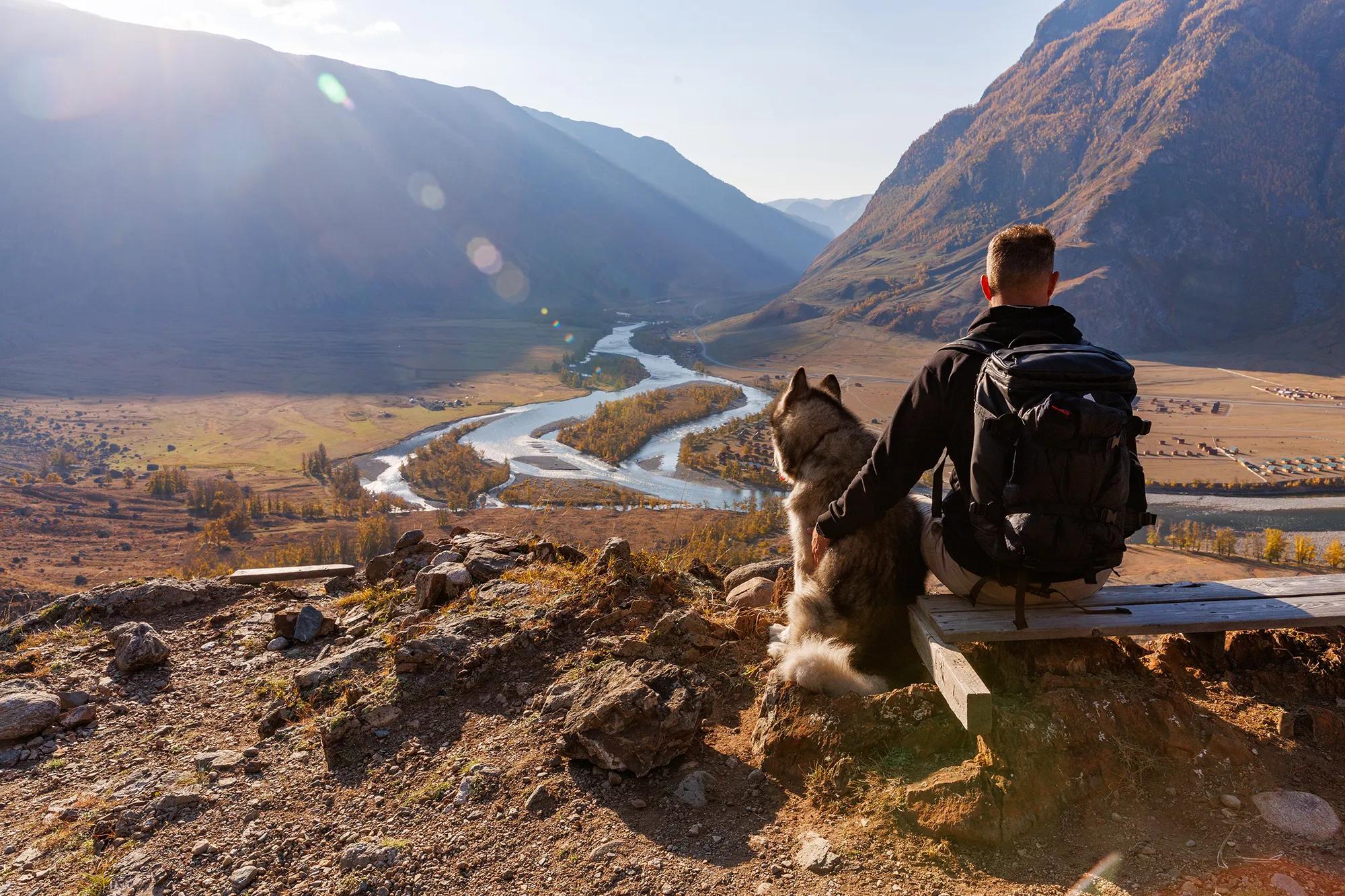 Фото: Shutterstock / laksena