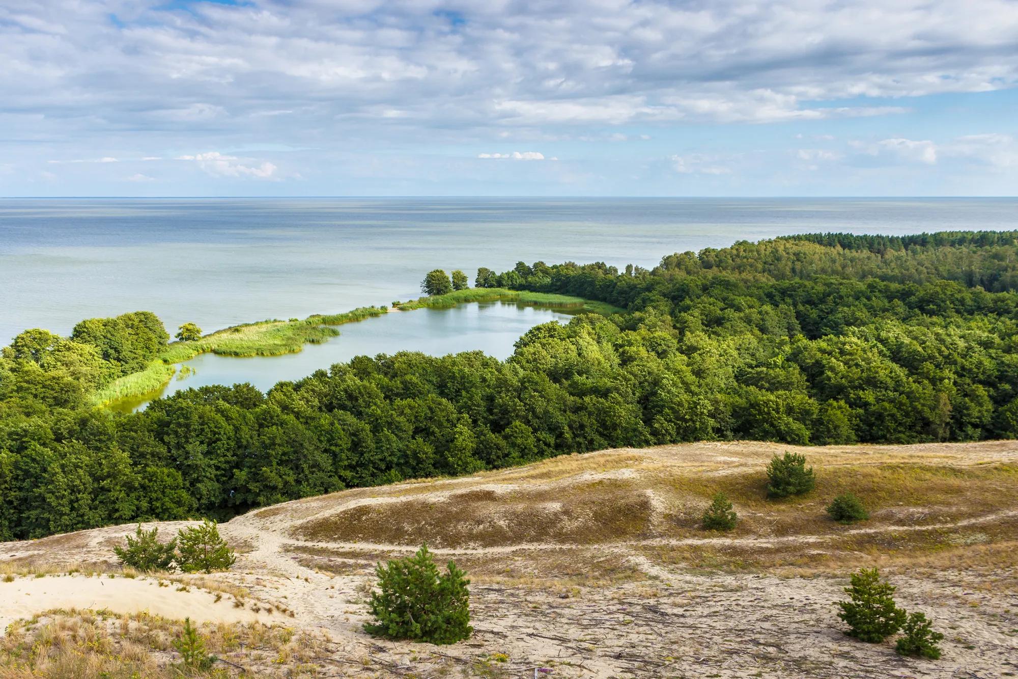 Фото: Shutterstock / Dmitrii Ivanov