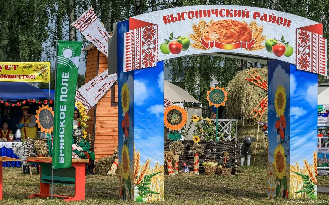 День брянского поля