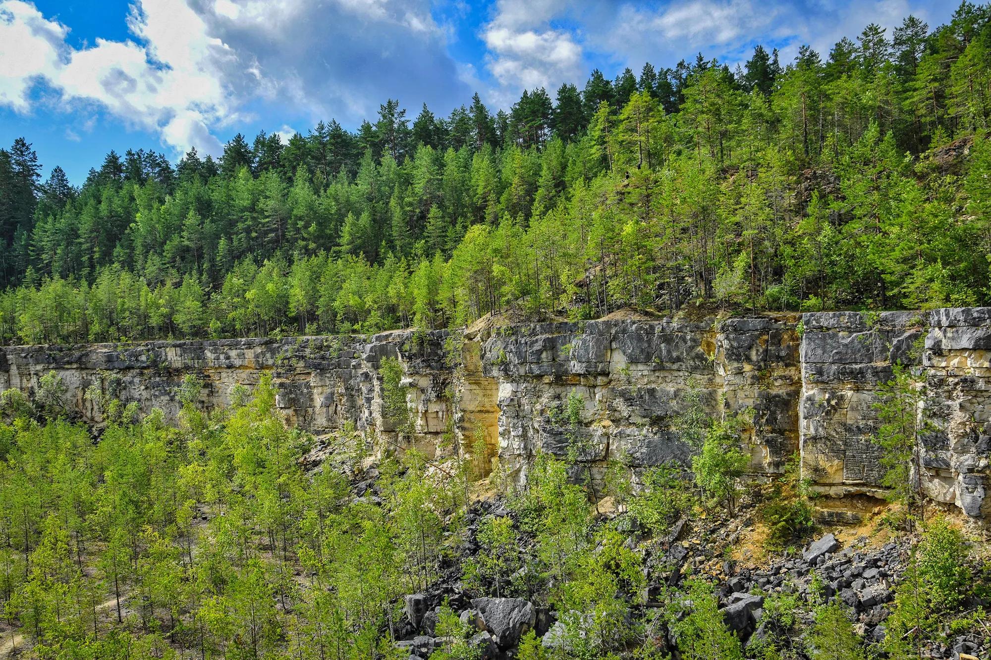 Фото: Shutterstock / pdeminhiker