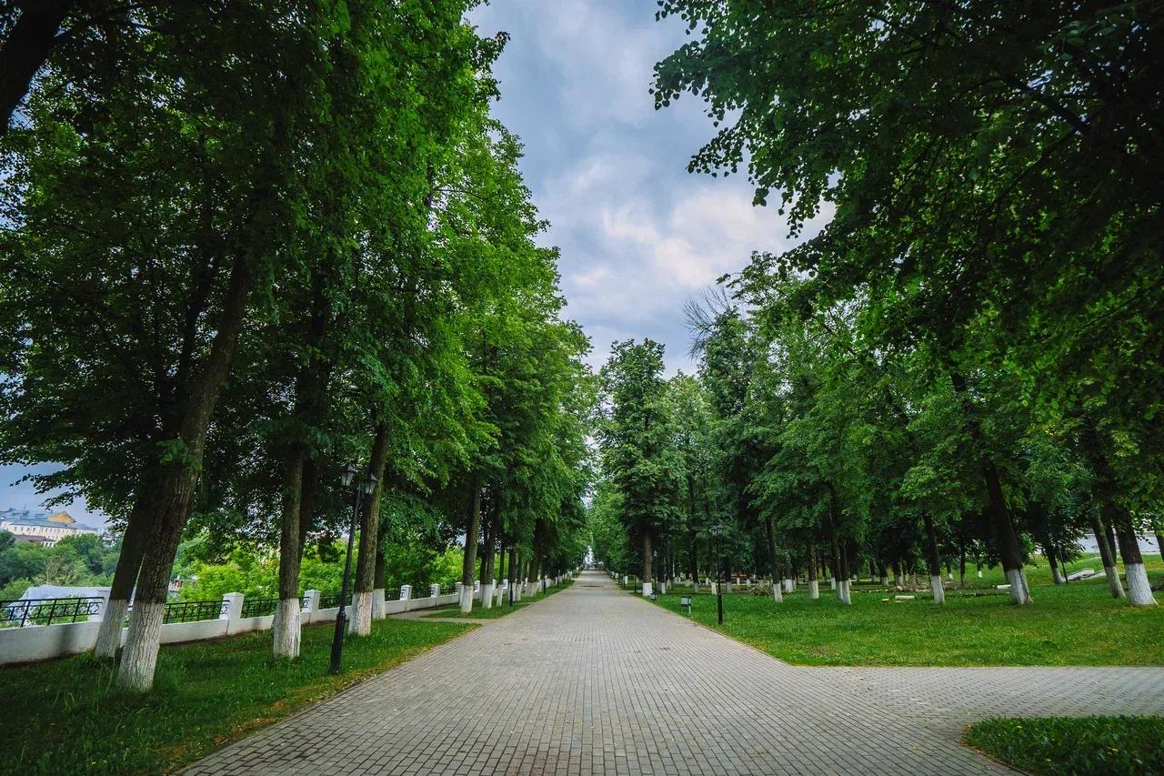 китоврас