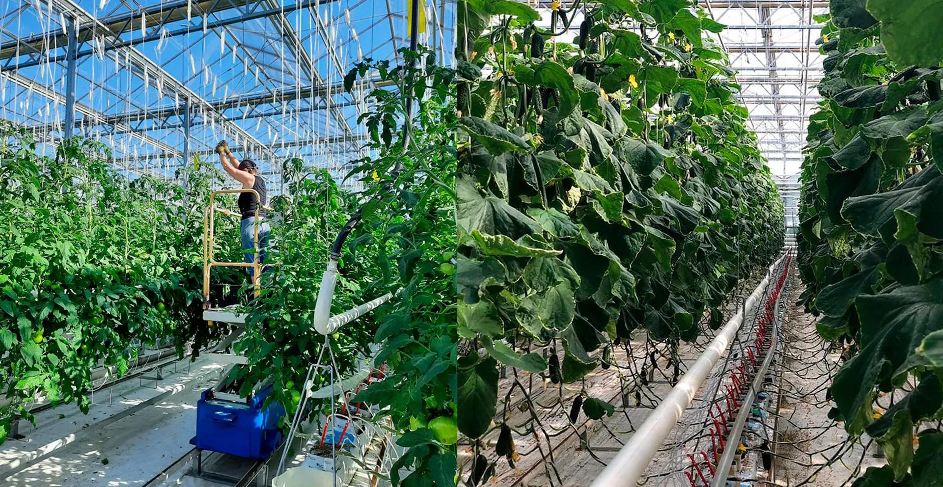 Фото предоставлено Министерством экономического развития,<br>промышленности и транспорта Республики Коми