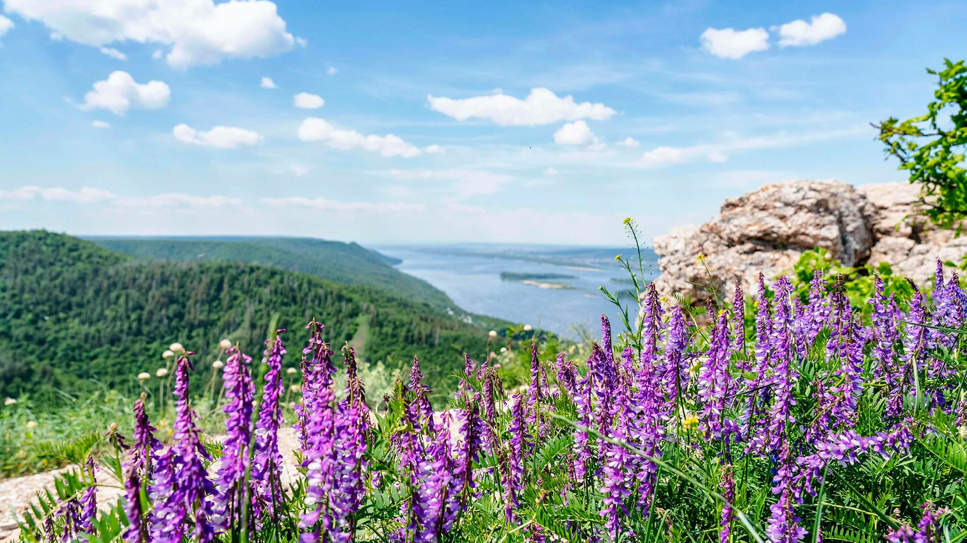 Гора Стрельная, Самара