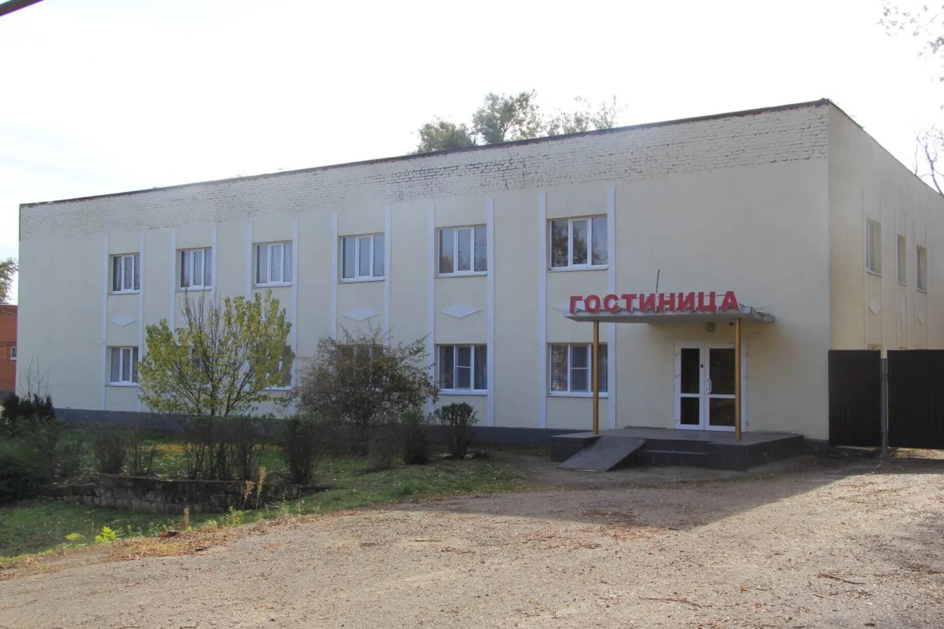 Тюльпан 1