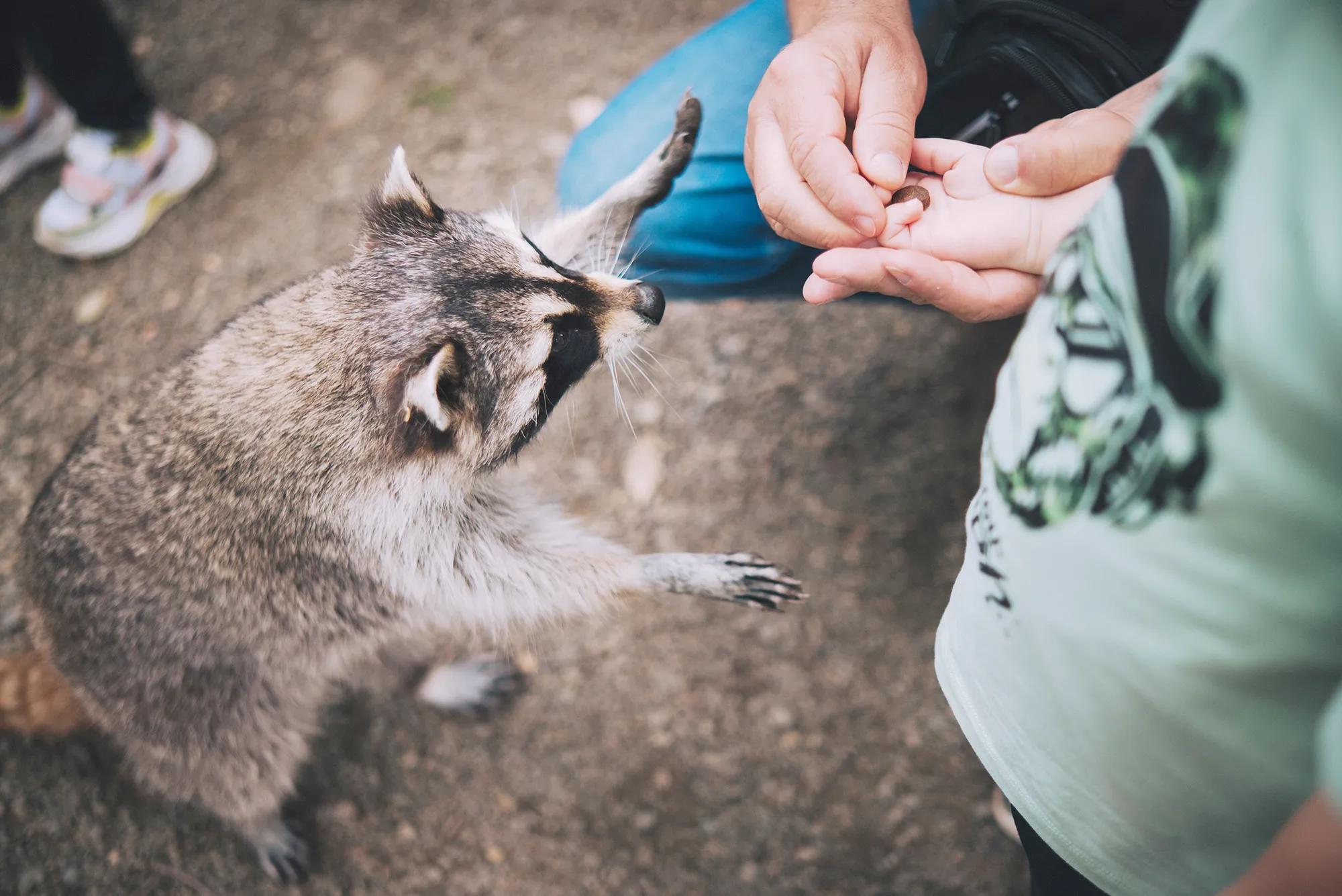 Фото: Shutterstock / nastya_krii shutterstock