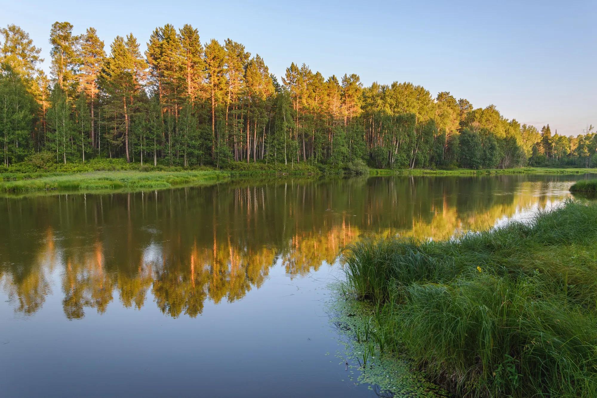 Фото: Shutterstock / KraEnis