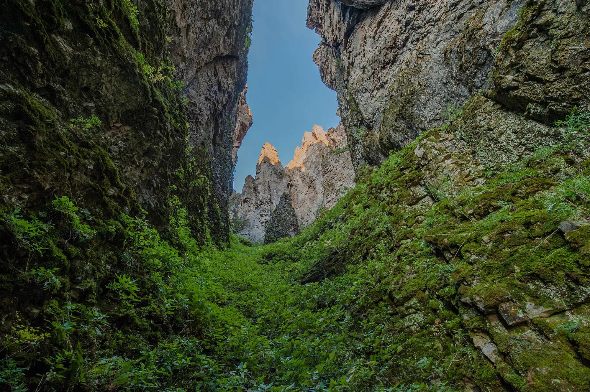 shutterstock_1329741002 ленские столбы Mikhail Cheremkin