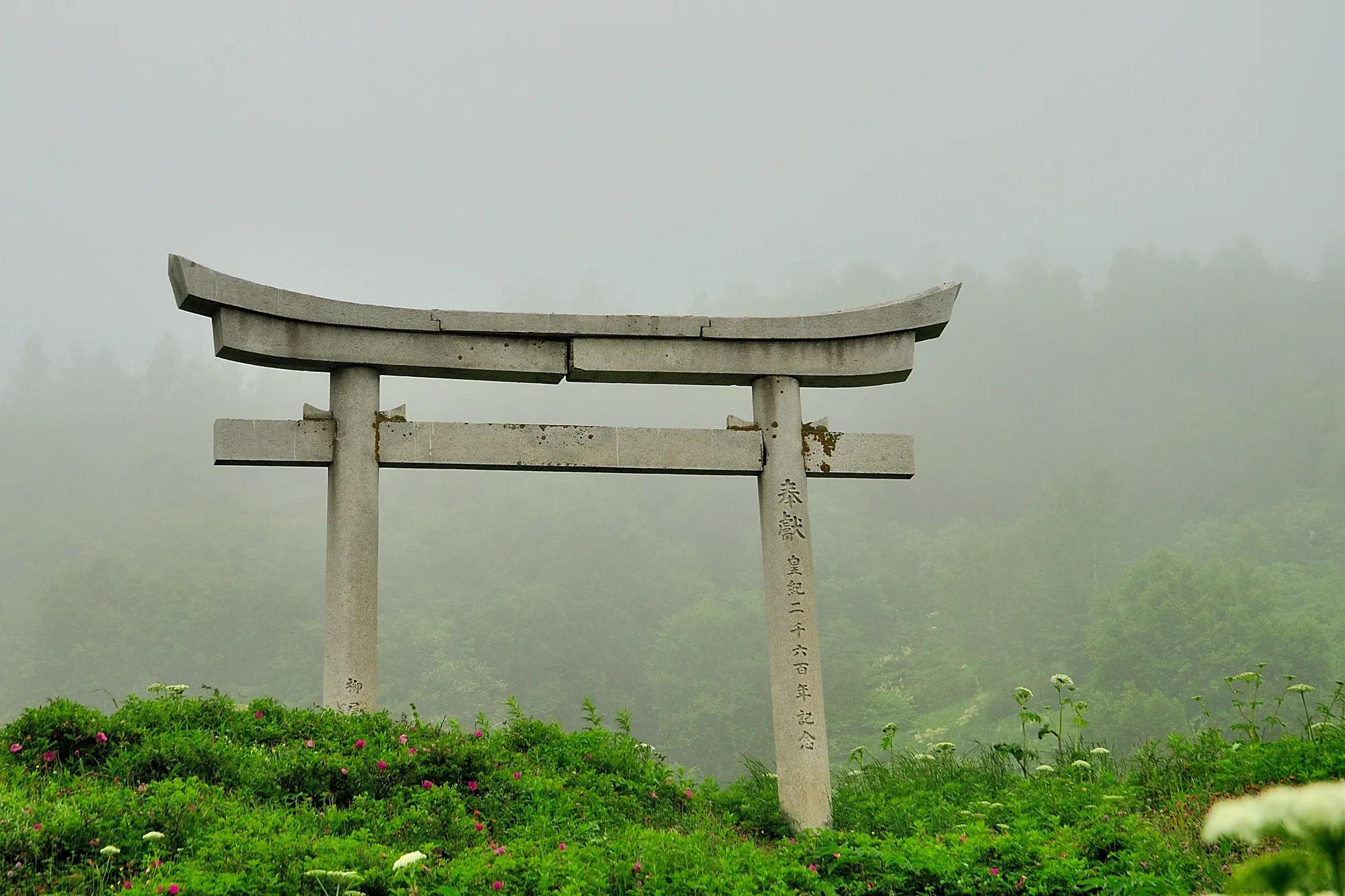 Фото: Shutterstock / Mbonga