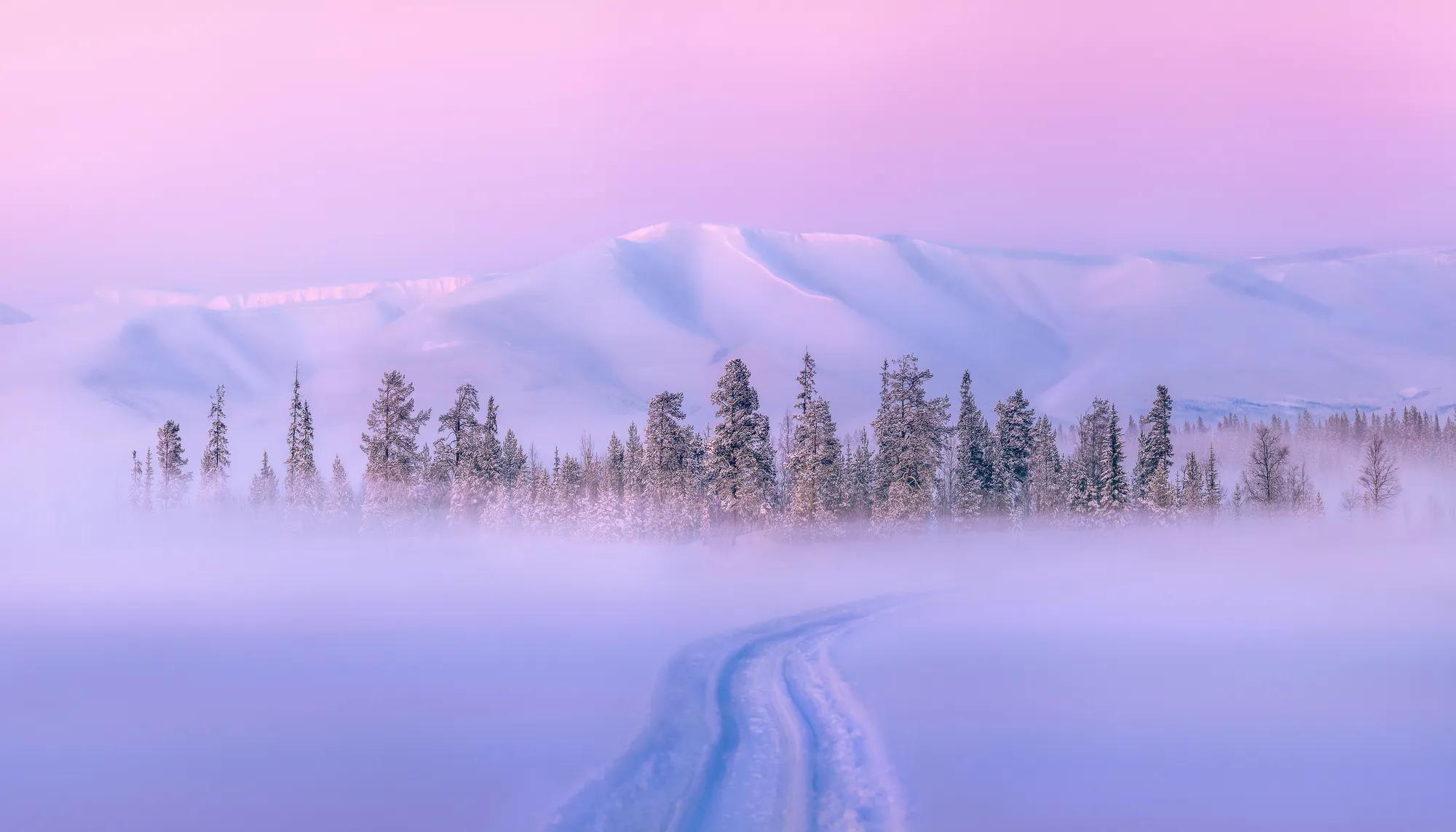 shutterstock_1650318172
