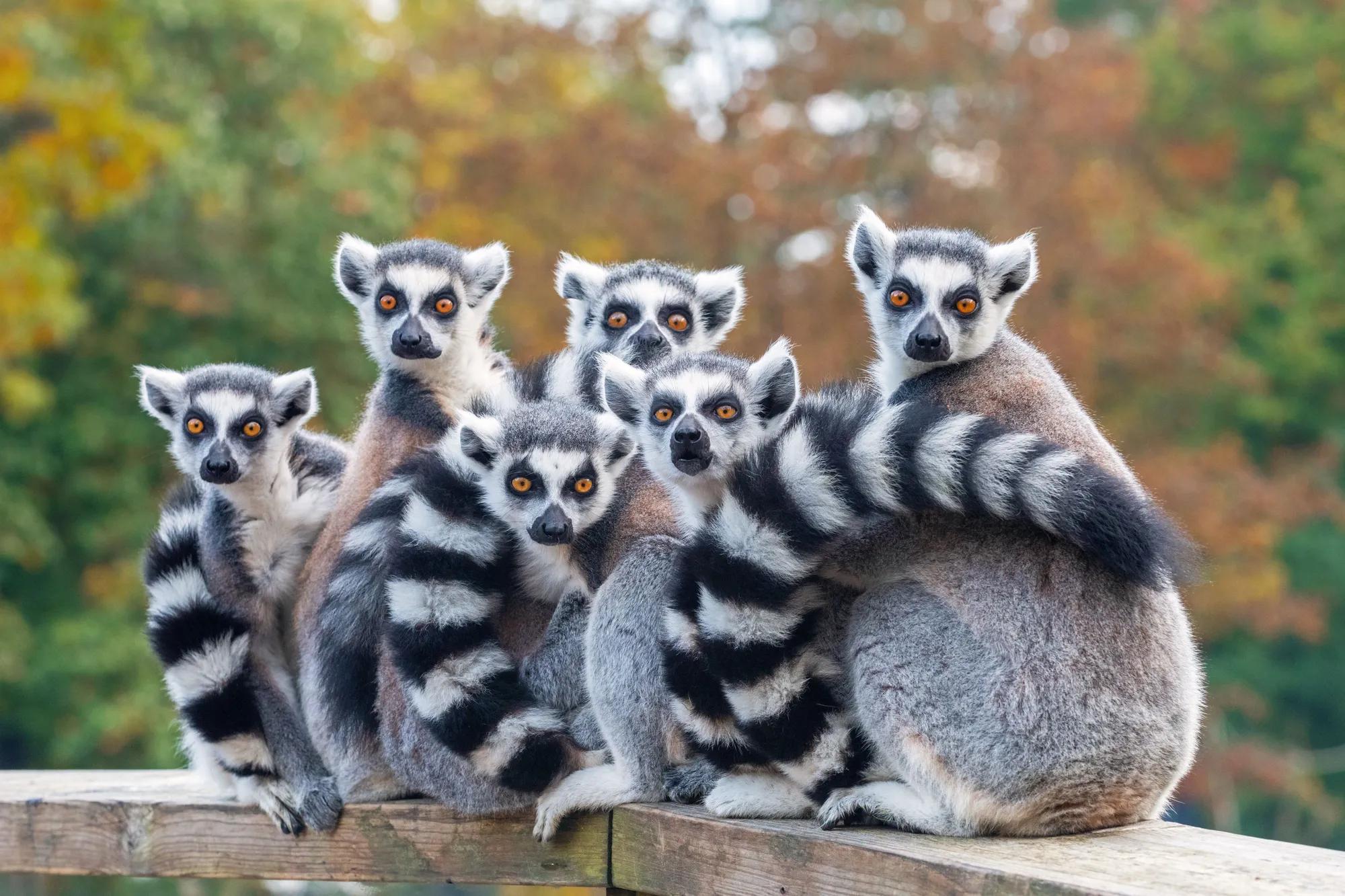 shutterstock_1539527396