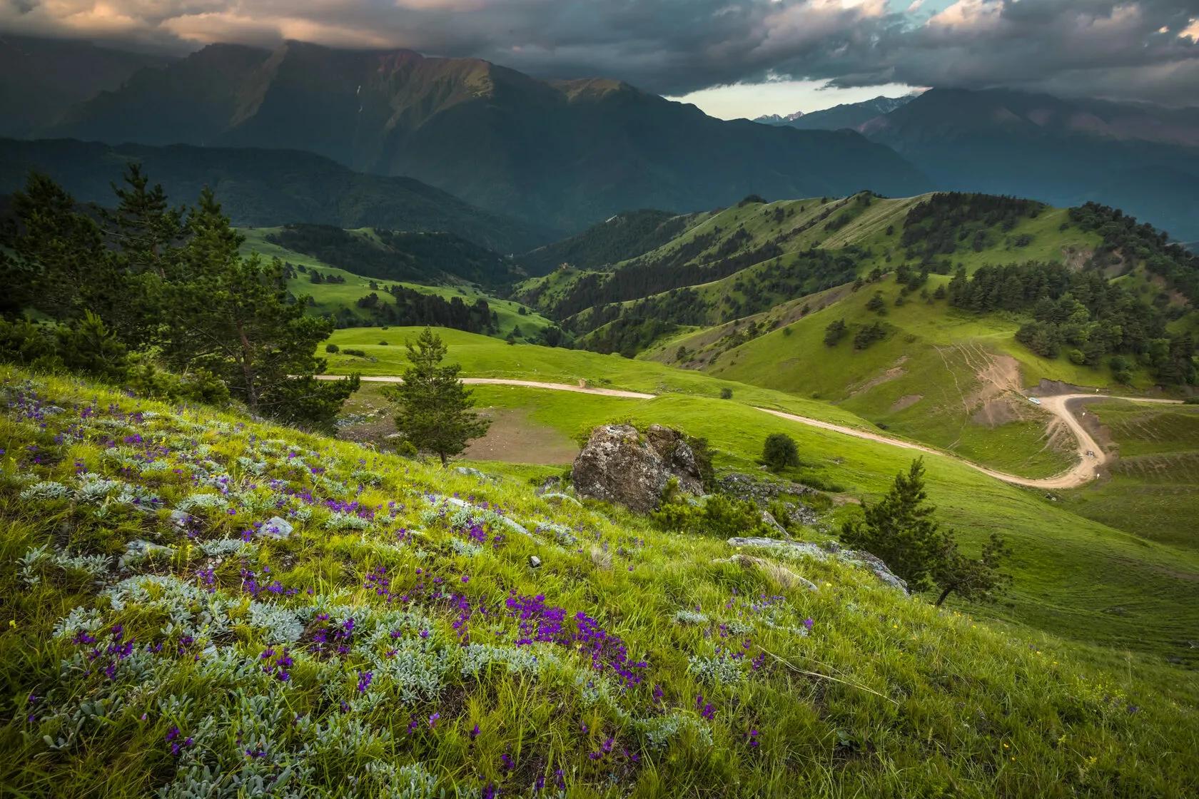 Республика Ингушетия, заповедник «Эрзи». Фото: Shutterstock