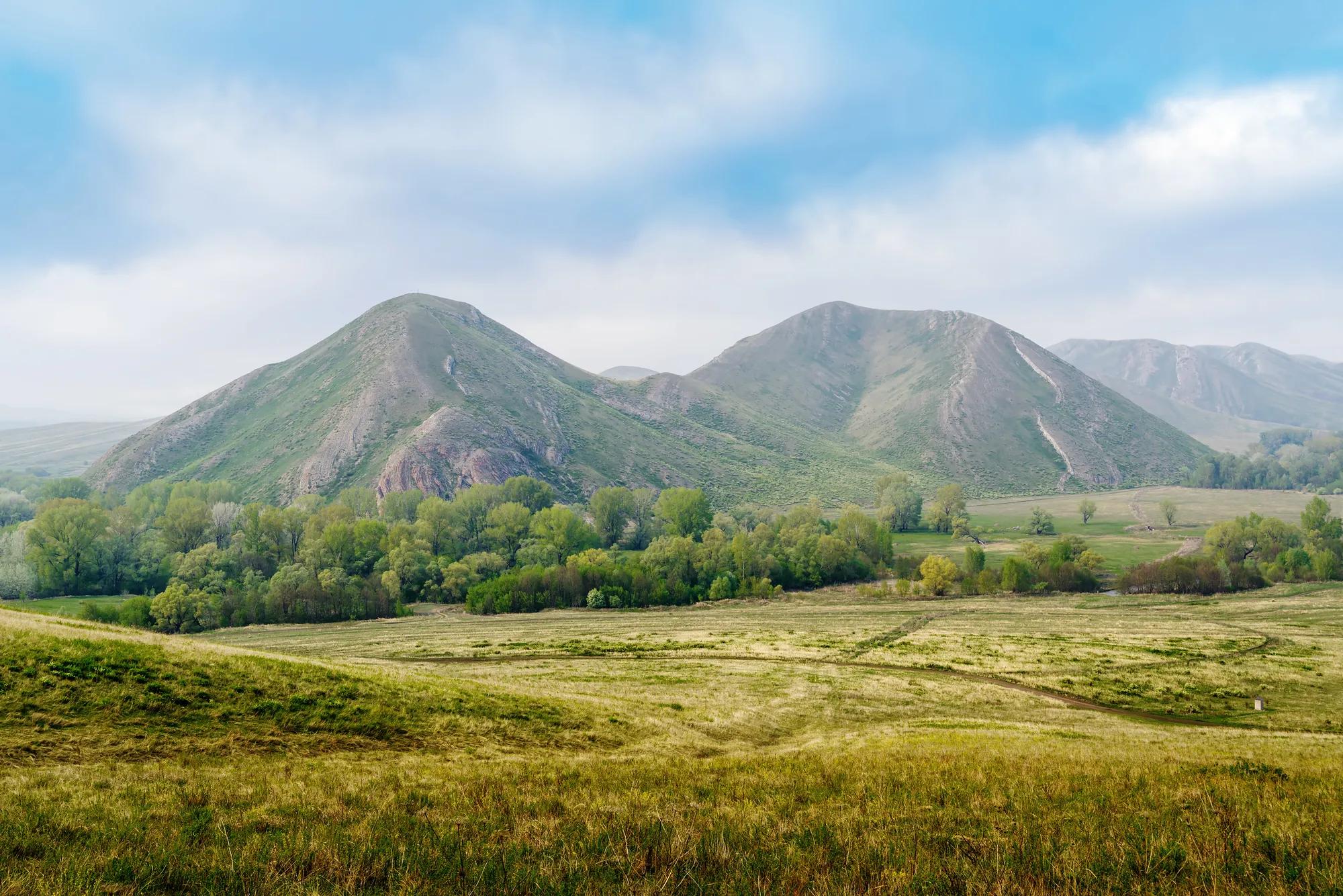shutterstock_1980217463
