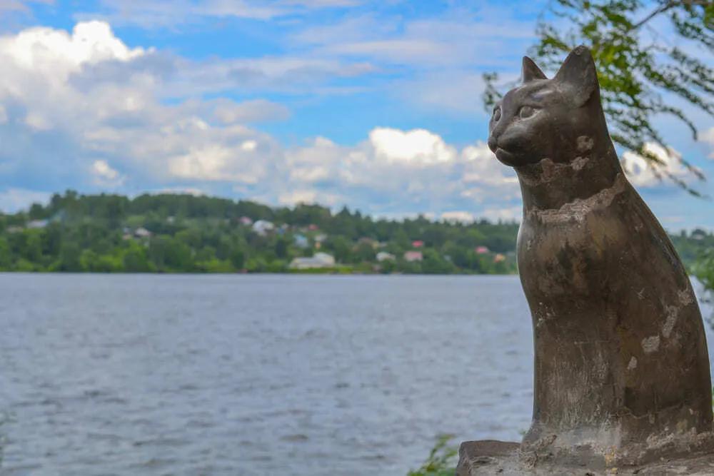 Плес. Кошка
