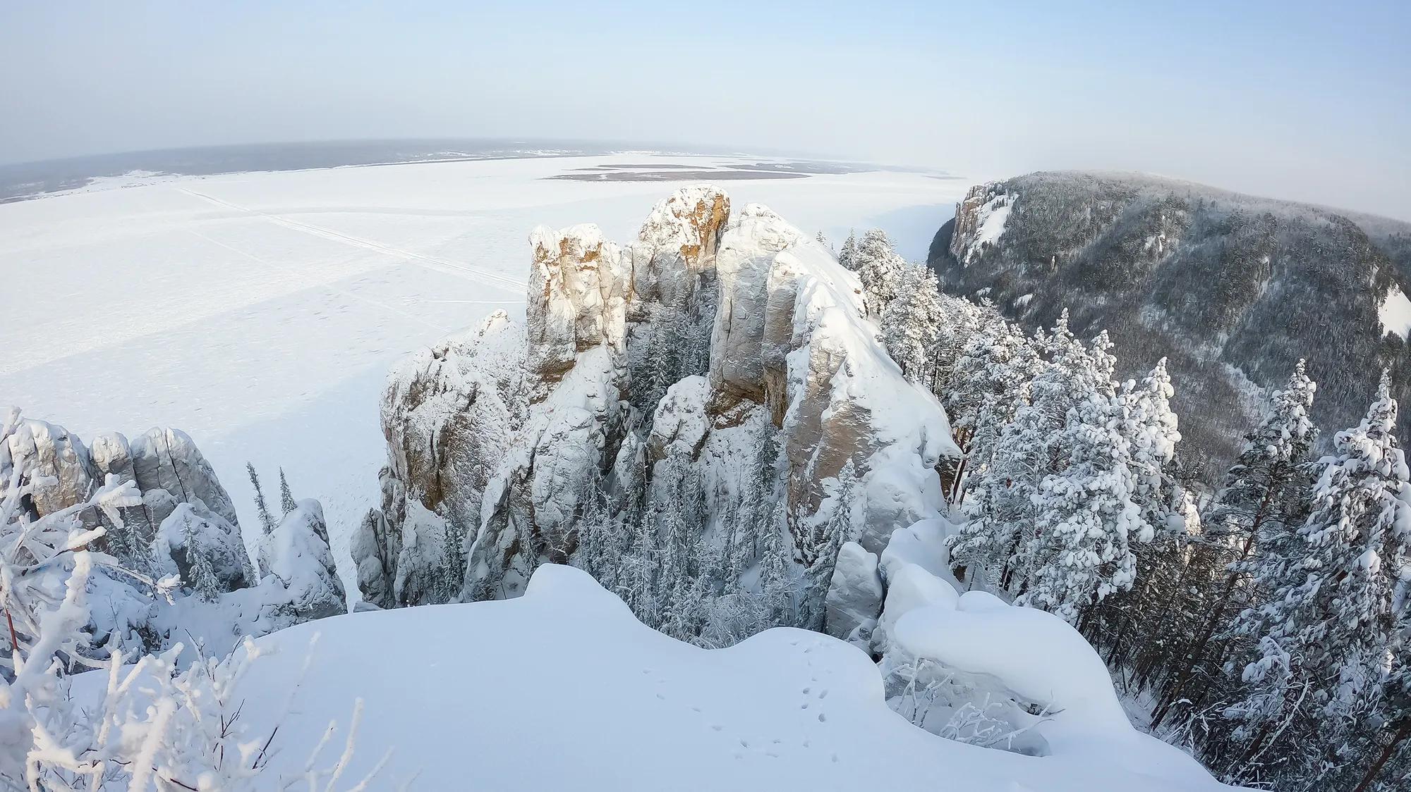 Фото: Shutterstock / VittoriaChe