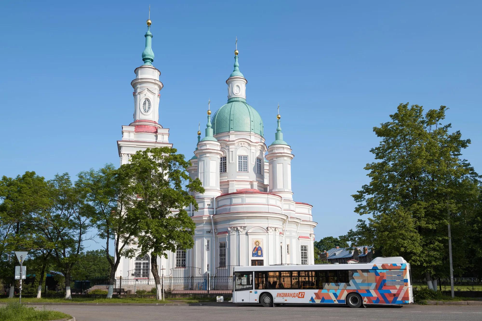 Karasev Viktor shutterstock_2695342373