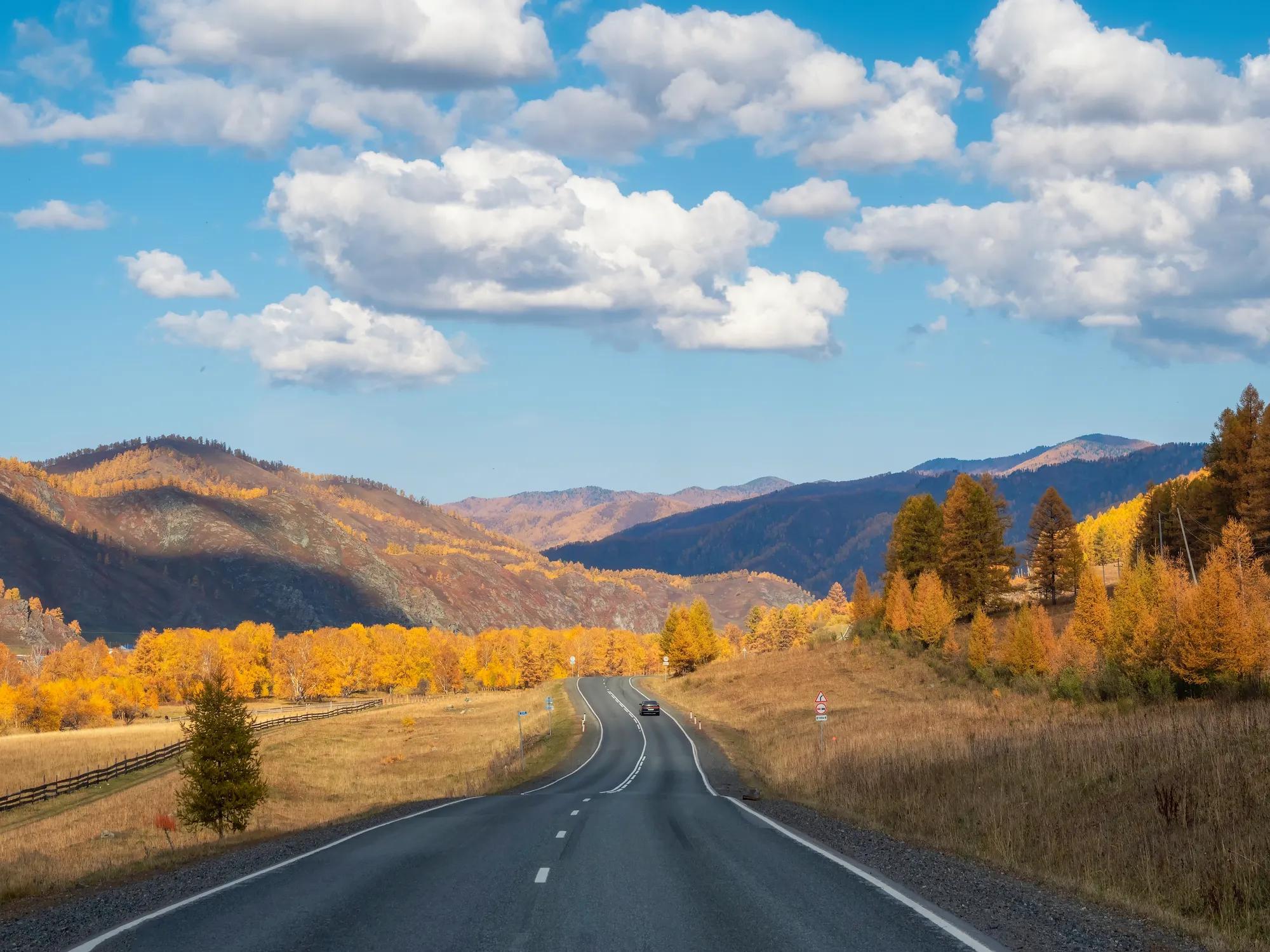 shutterstock_2499918581