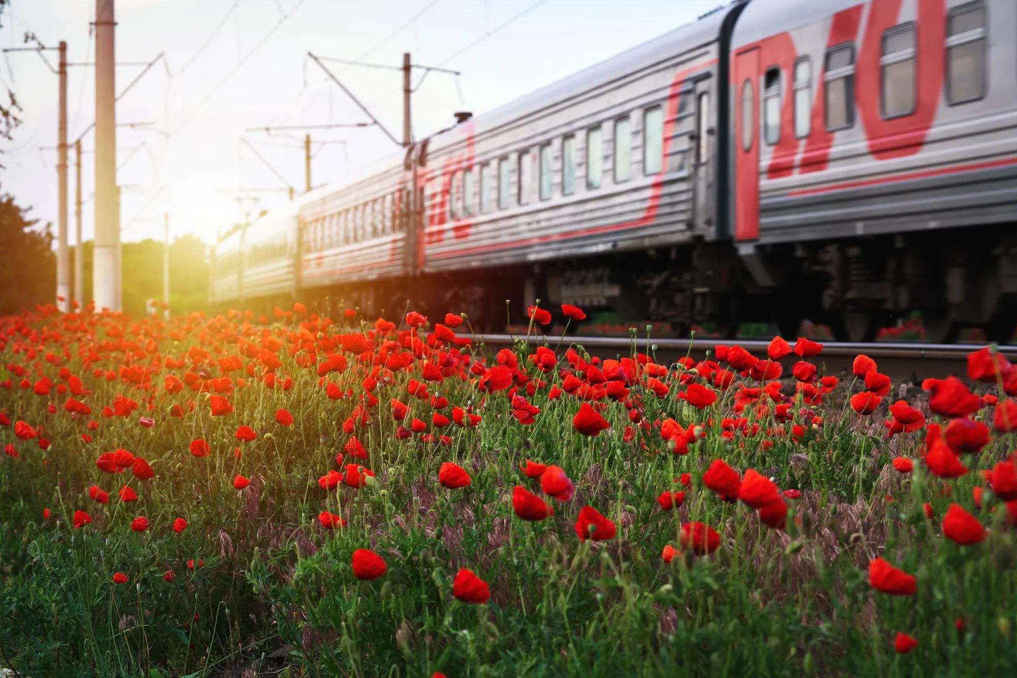 Alrandir shutterstock_2183048755