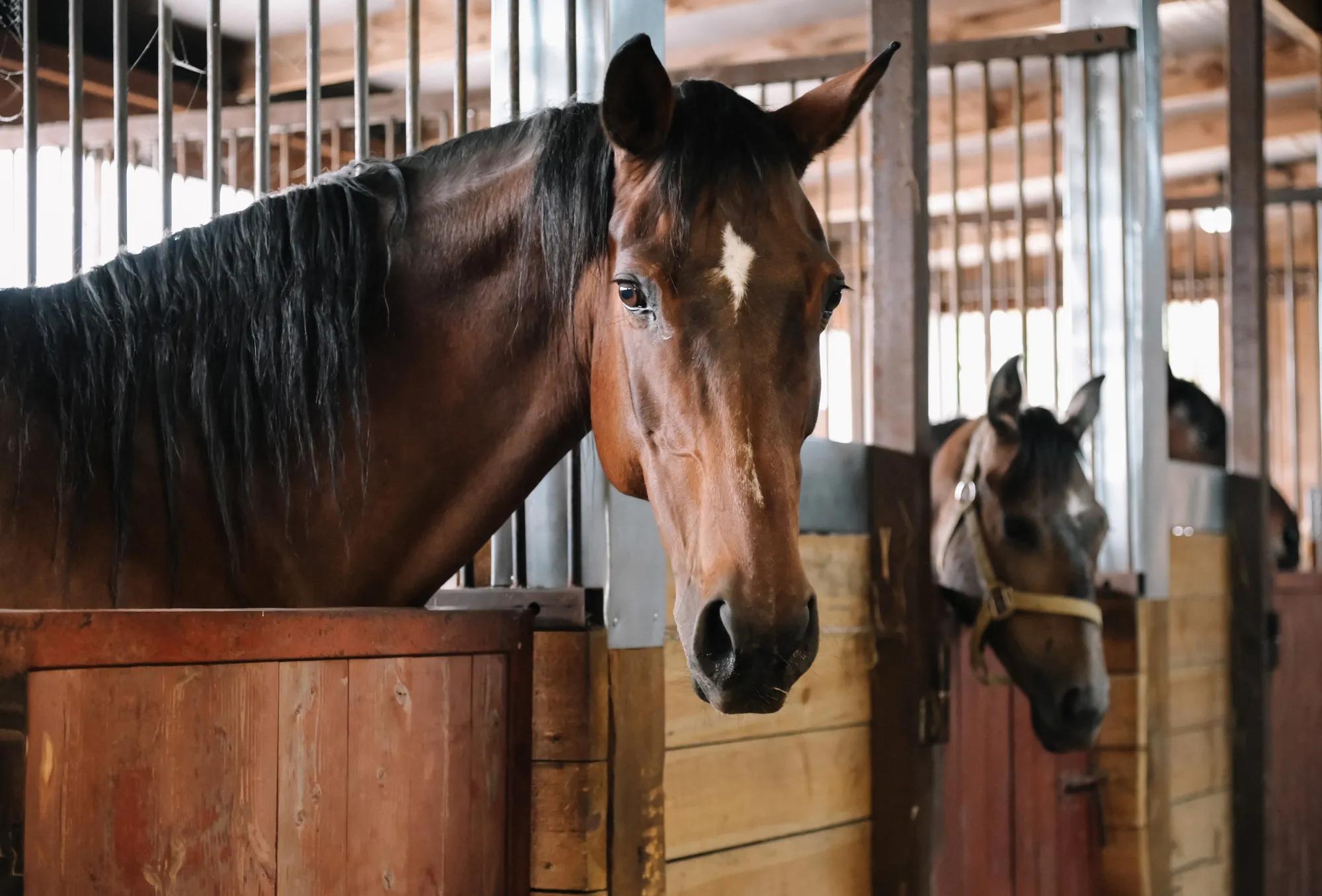 Фото: shutterstock / July_fotograf