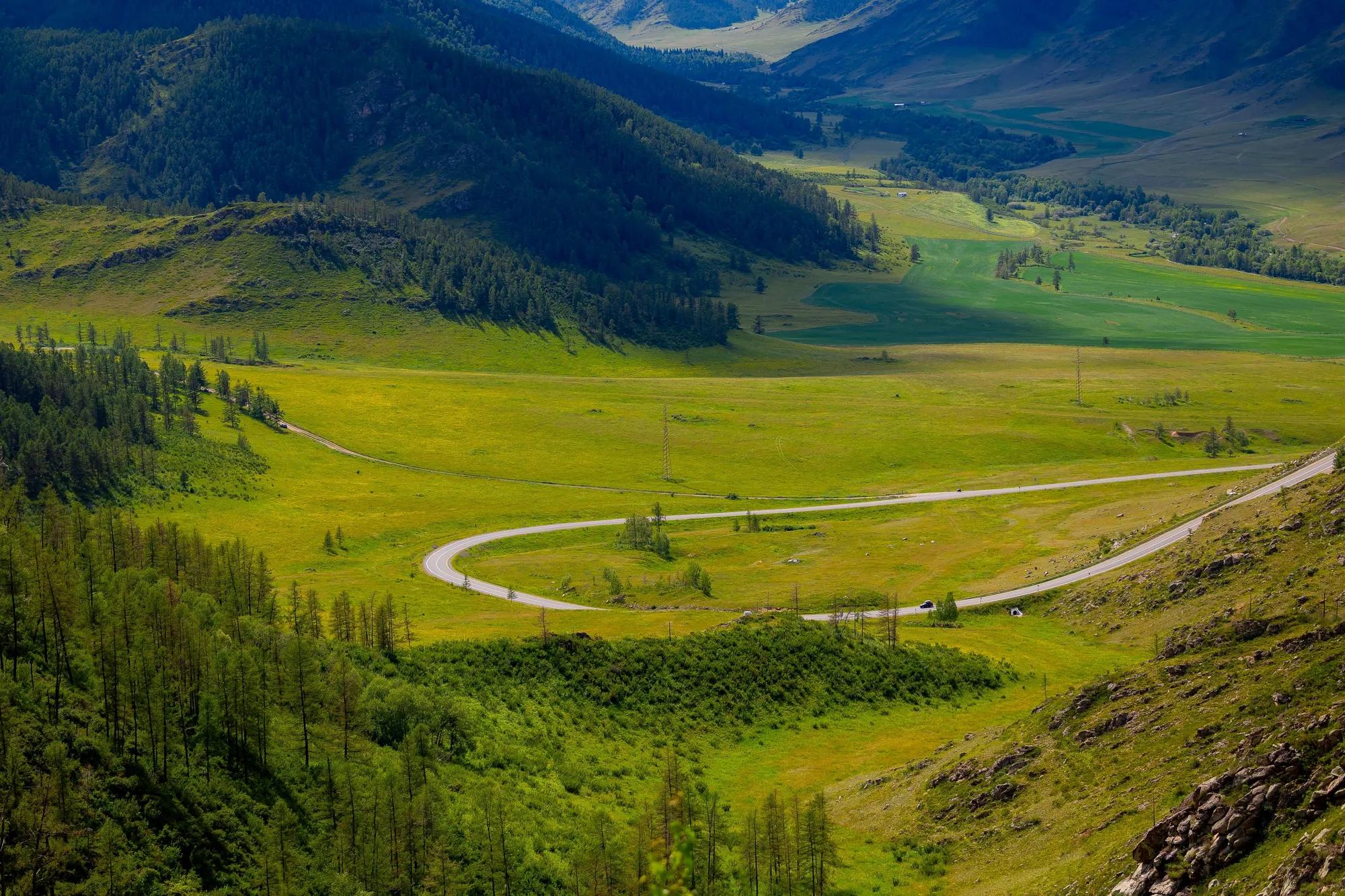 Фото: shutterstock / Parilov