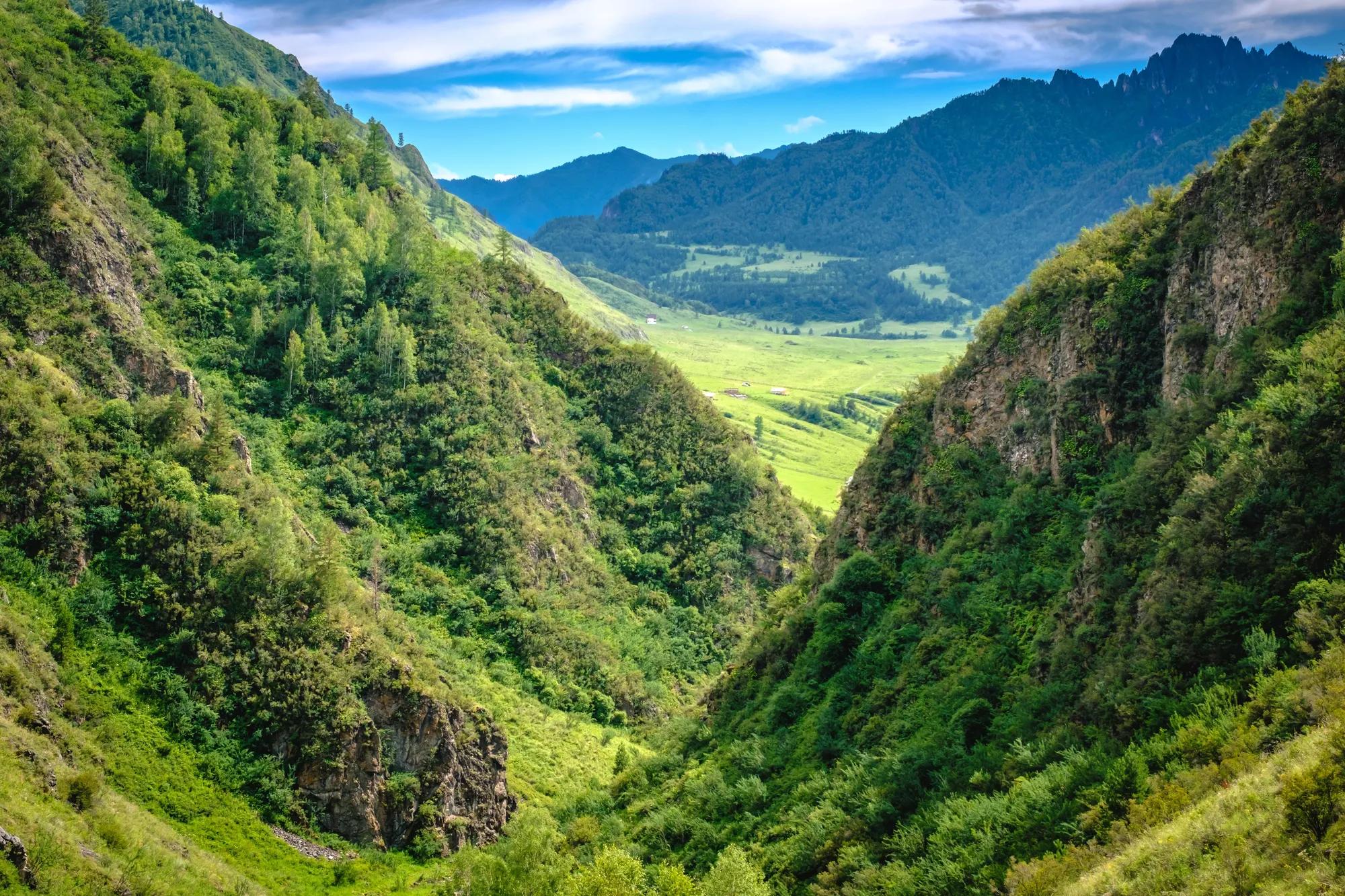 Фото: shutterstock / Alexey Oblov