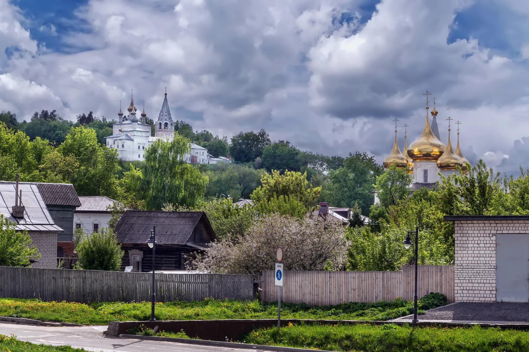 shutterstock_2491315911_Гороховец