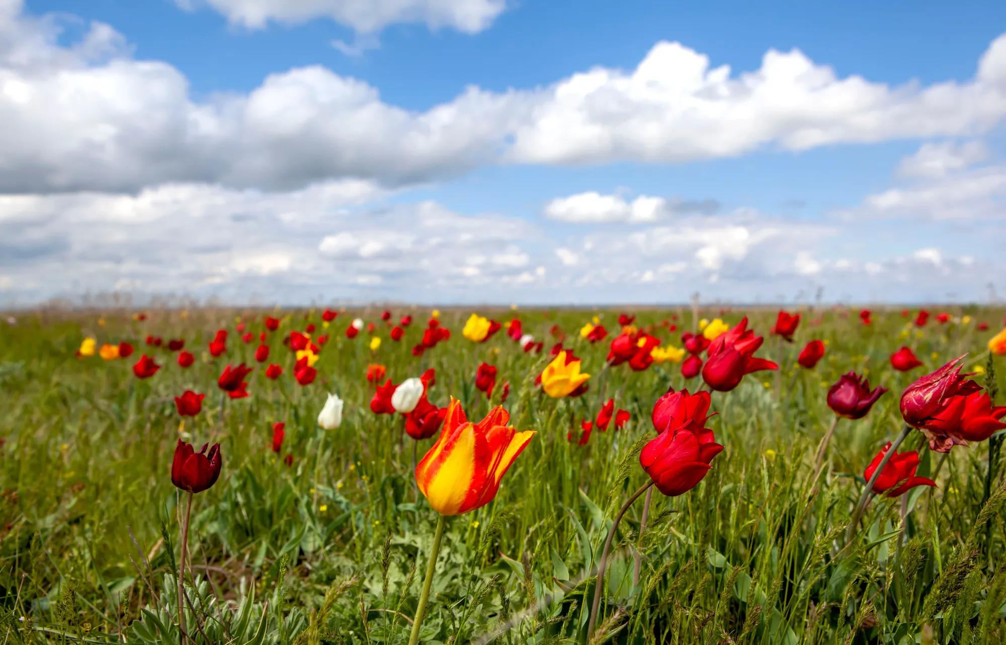 shutterstock_2157690147