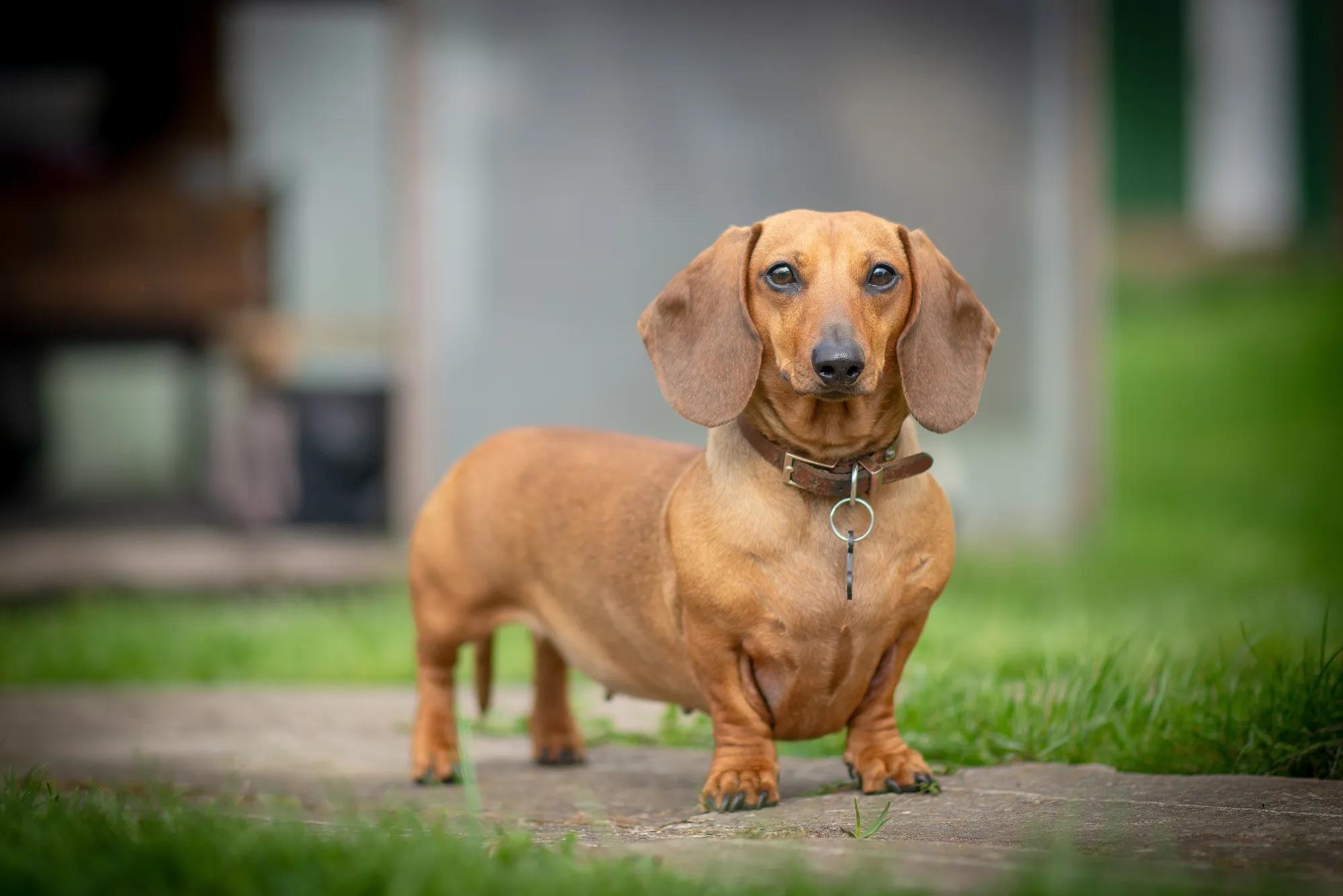 shutterstock_2616384963