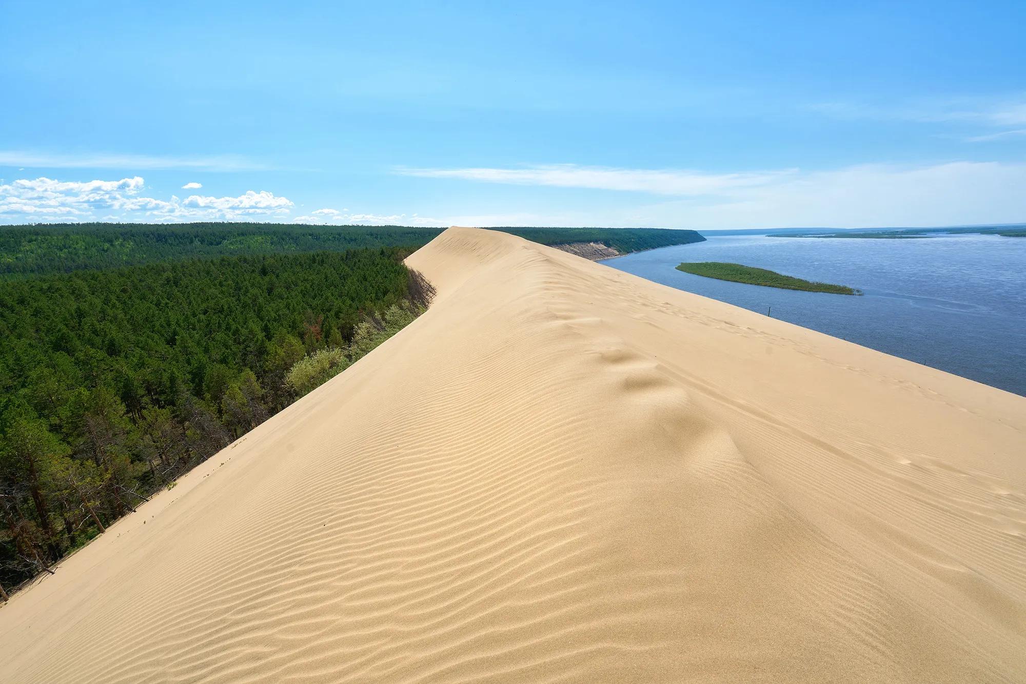 Фото: Shutterstock / Vladimir Zhoga