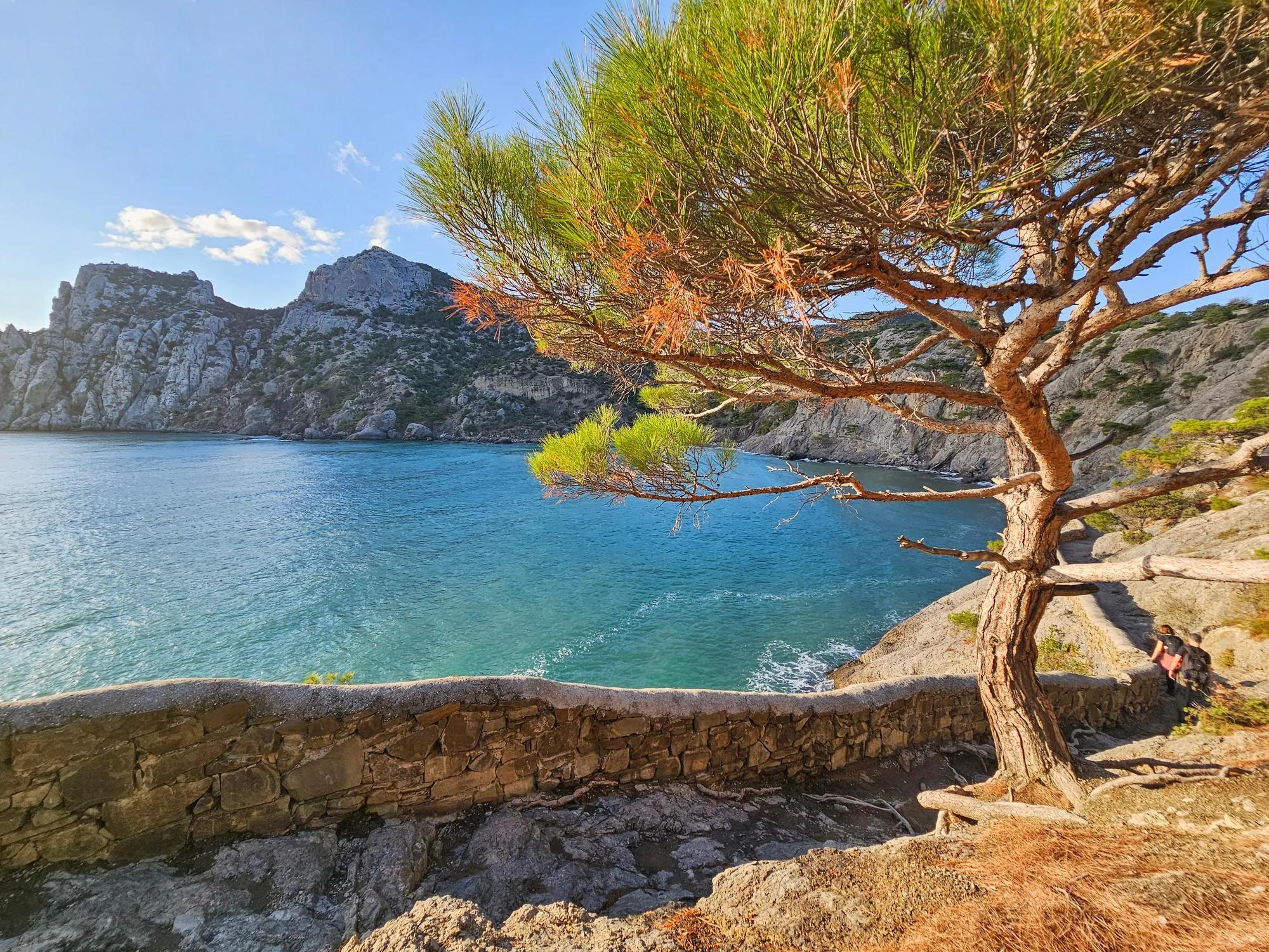Фото: Shutterstock / Stanislav71
