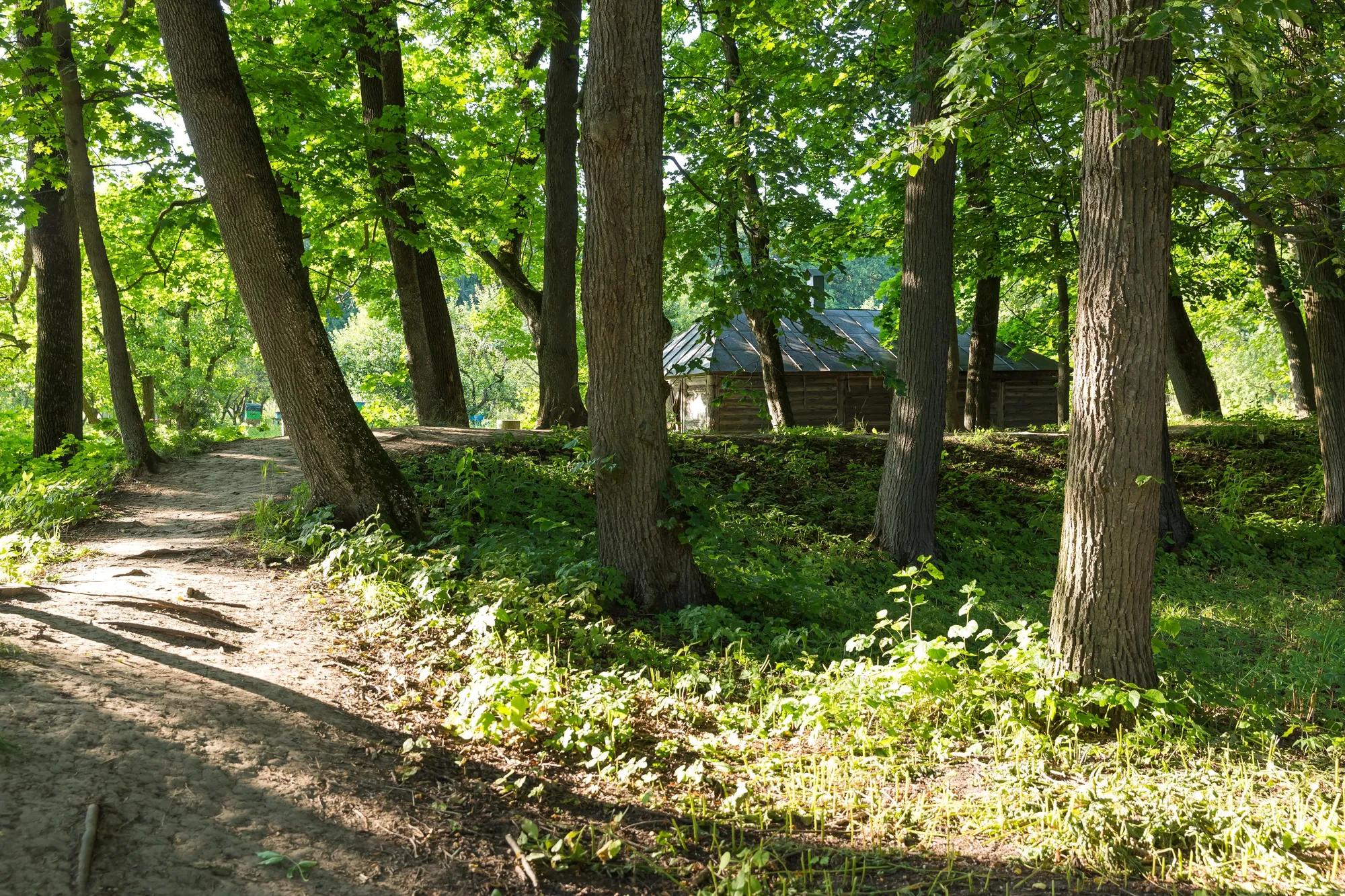 shutterstock_2238449533