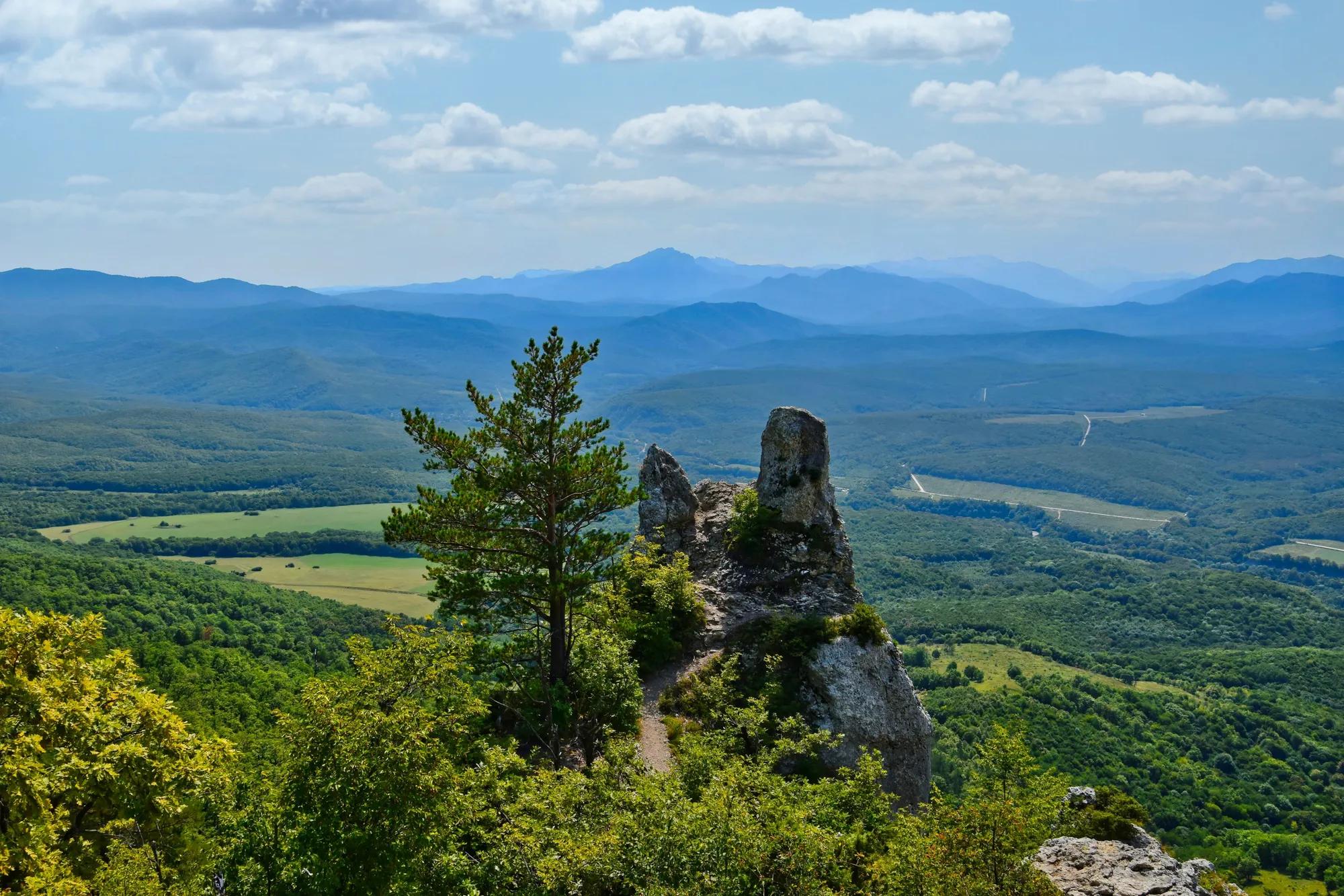 shutterstock_2545467765