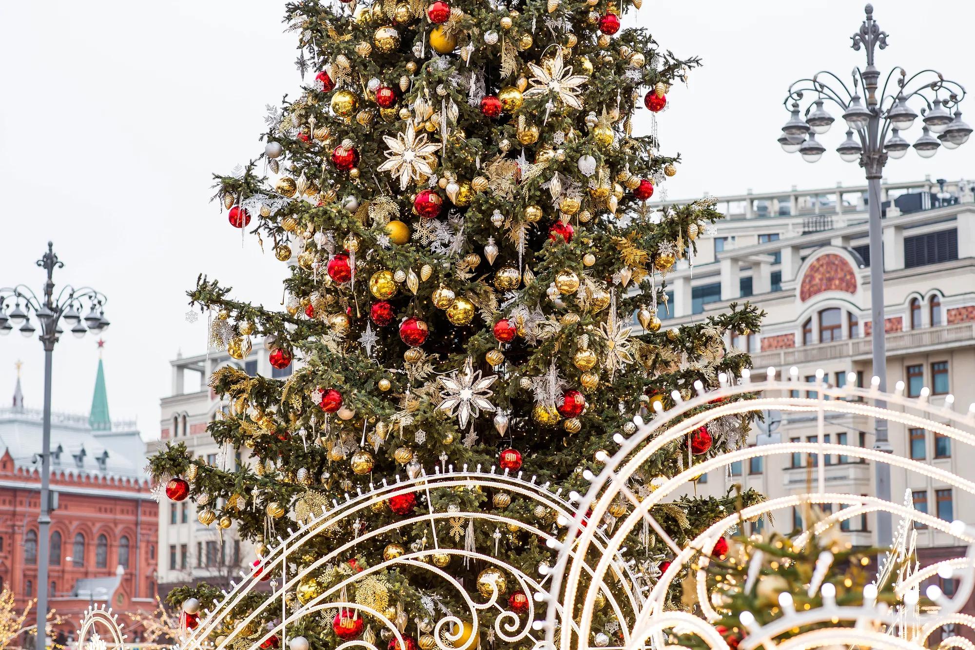 shutterstock_2700921241