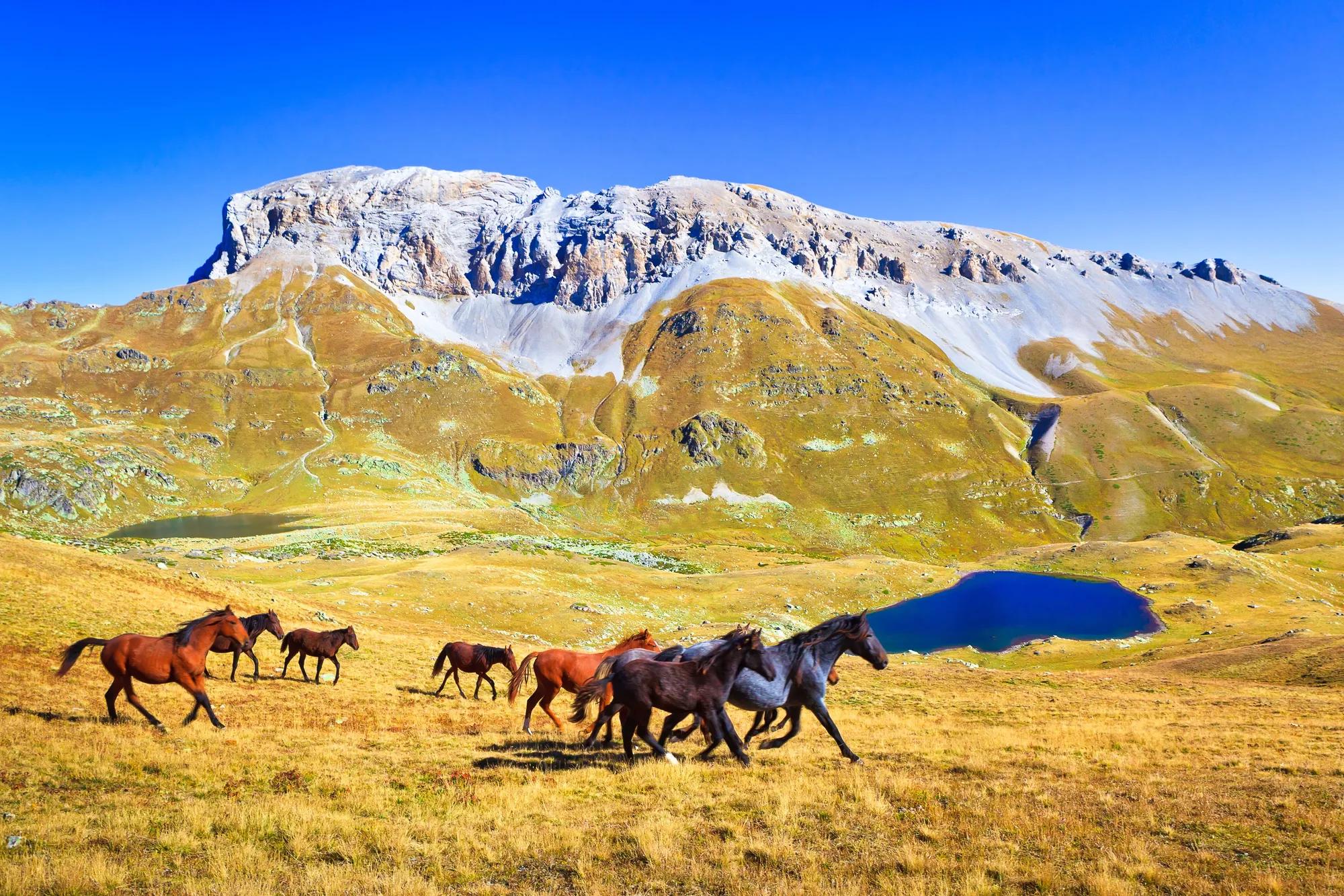Фото: Shutterstock / Lysogor Roman