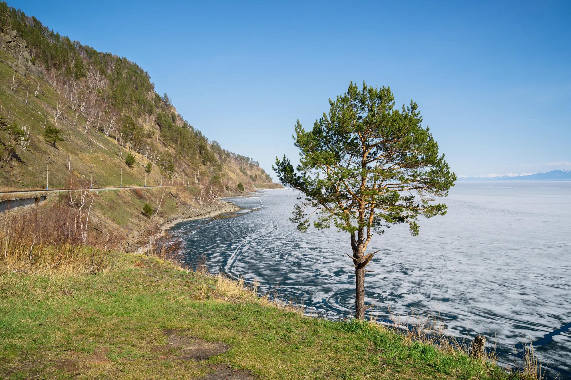 Фото: Shutterstock / ALEKSANDR RIUTIN