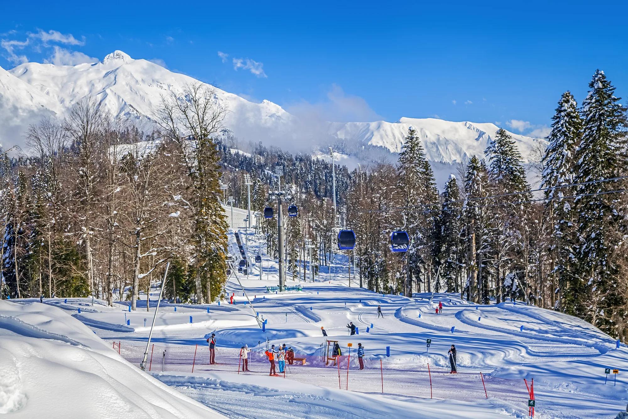 Фото: Shutterstock / Dan-Rus